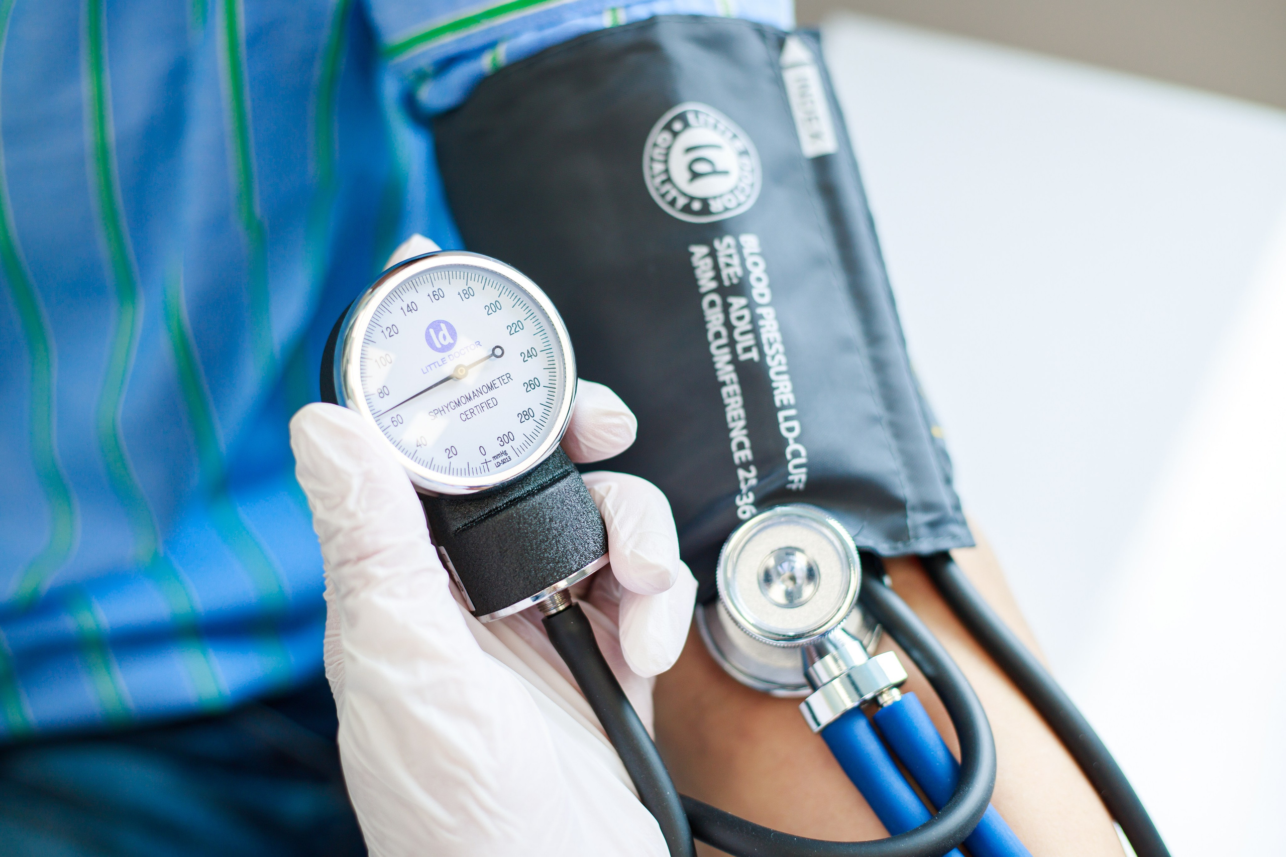 Business. Portrait and family photographer in Fort Collins Dania Gaisina