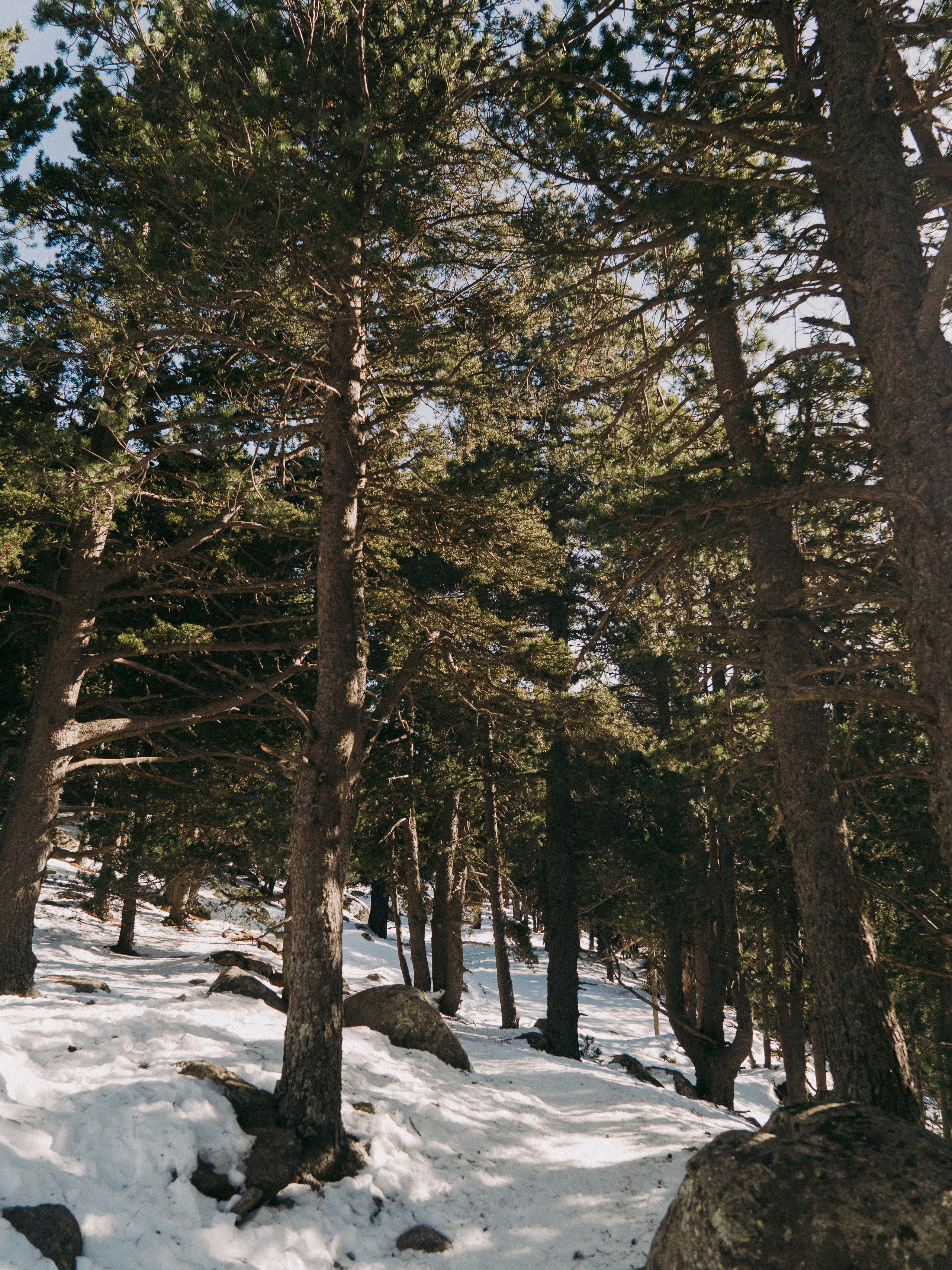 Frames between steps. Creador de contenido visual en Barcelona | Dima Kit