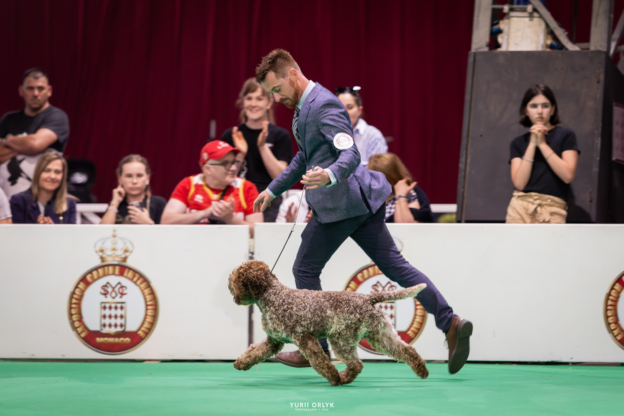 Dog Shows. Yurii Orlyk Photography