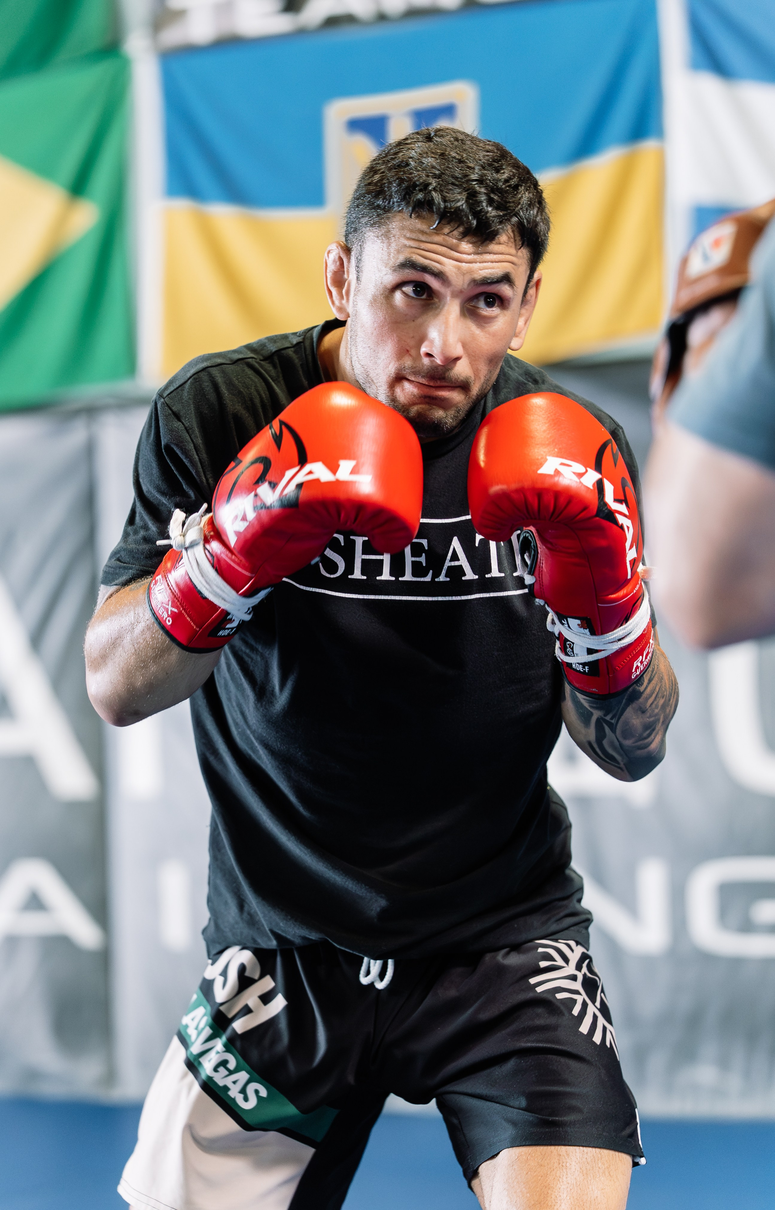 Martial Arts. Luana Pinheiro | Hajime Creative Studio — Foto e Vídeo em Huntington Beach