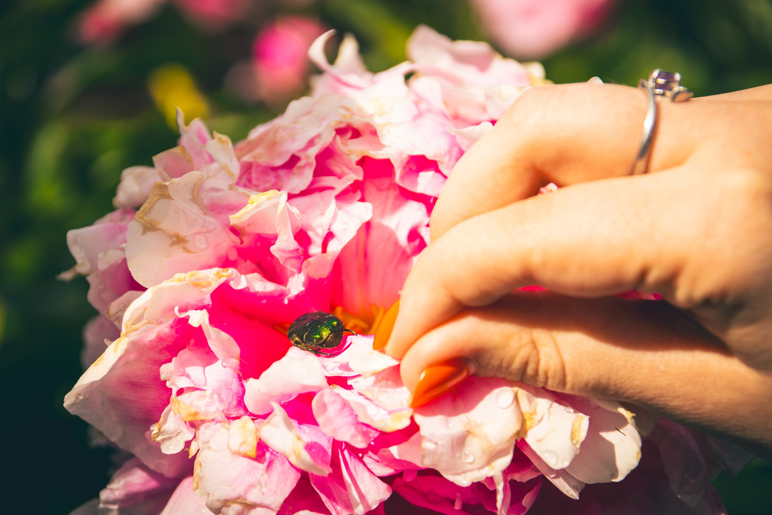 Saaremaa, reis (Nika A.). Nebula 25 — Fotod teie hingele