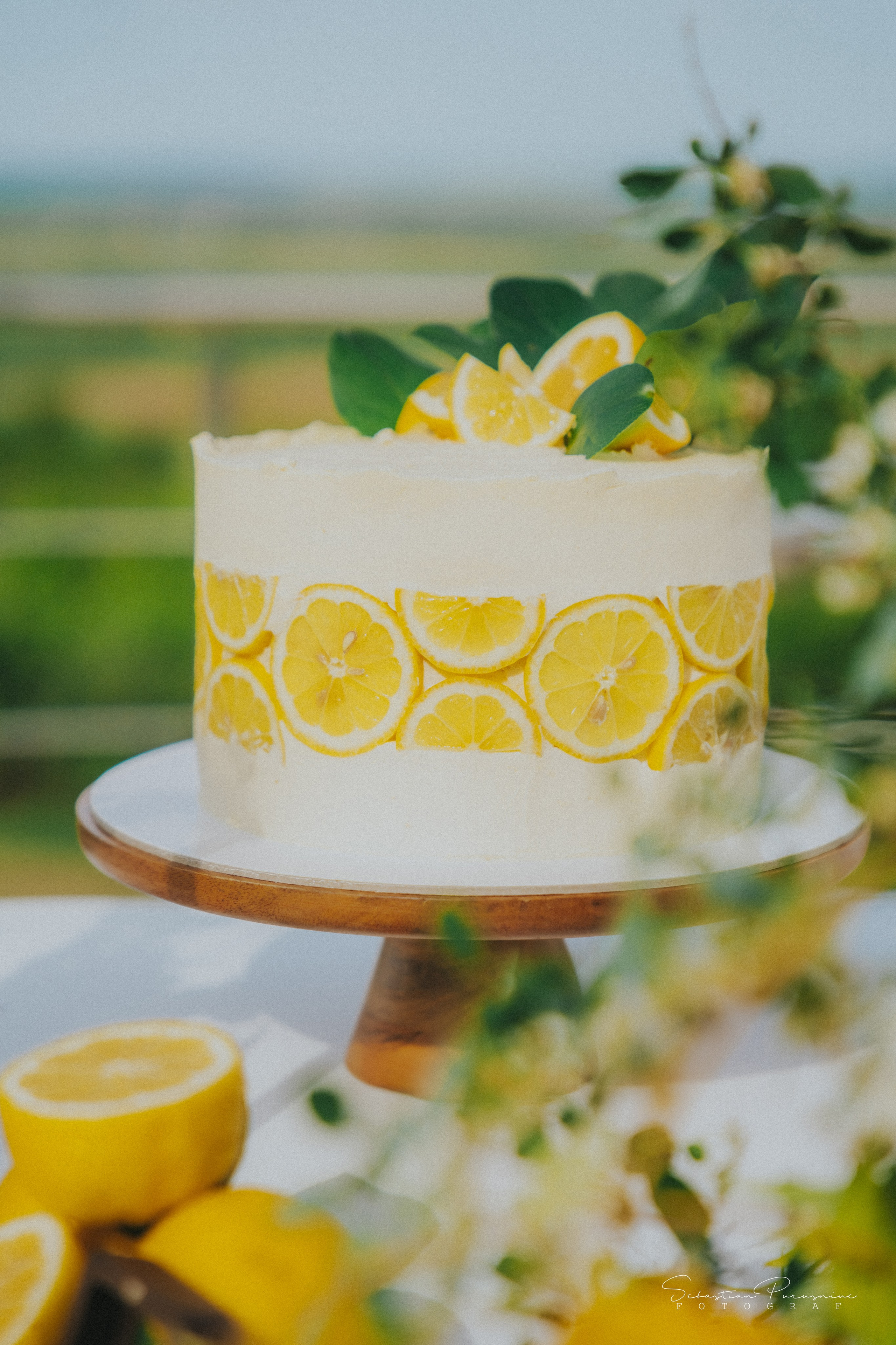 Love & Lemons. Sebastian Purusniuc Fotograf - Iasi