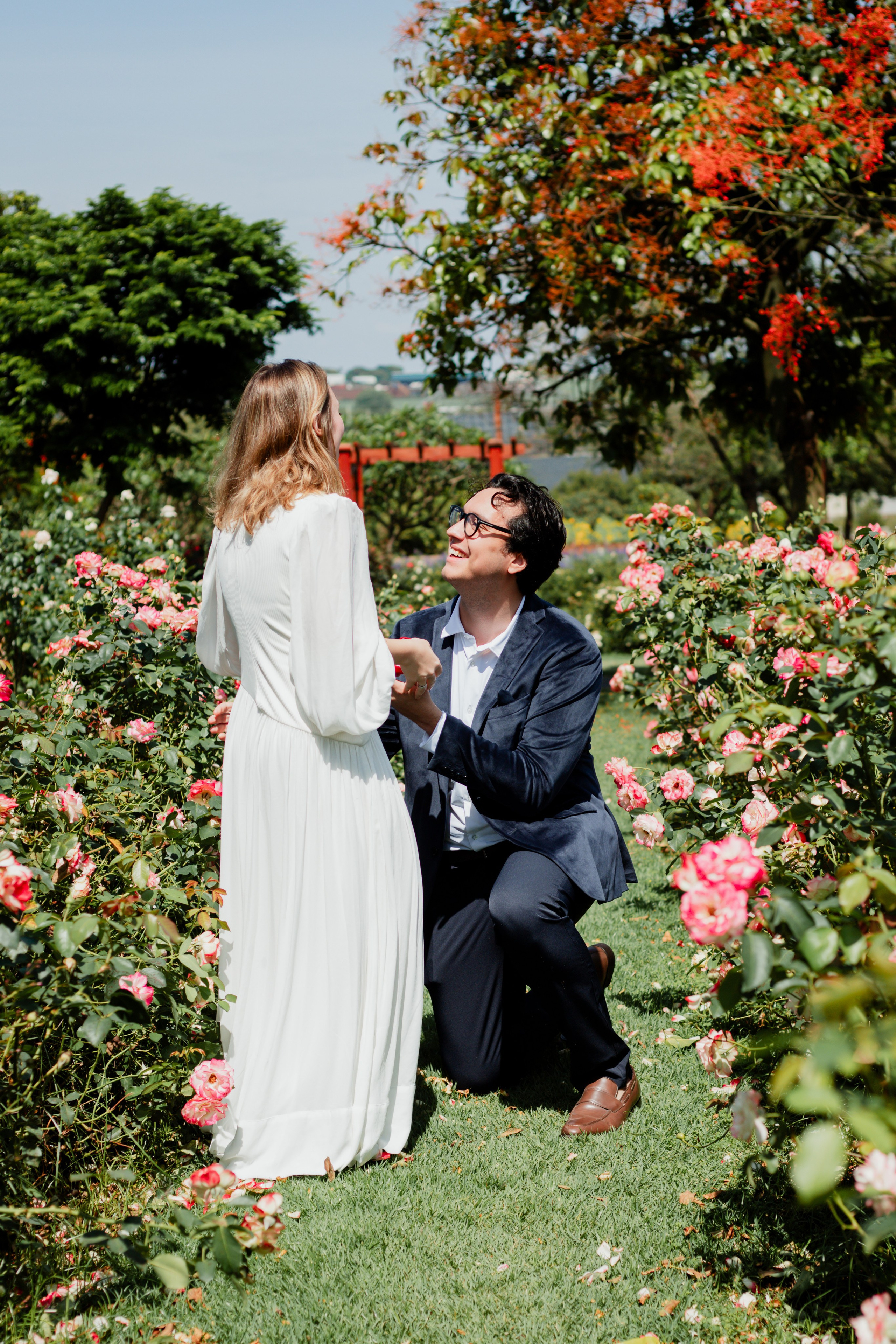 Pedido de Casamento /Bloemen Park. Joyce Maria Fotografia | Fotógrafa em Holambra