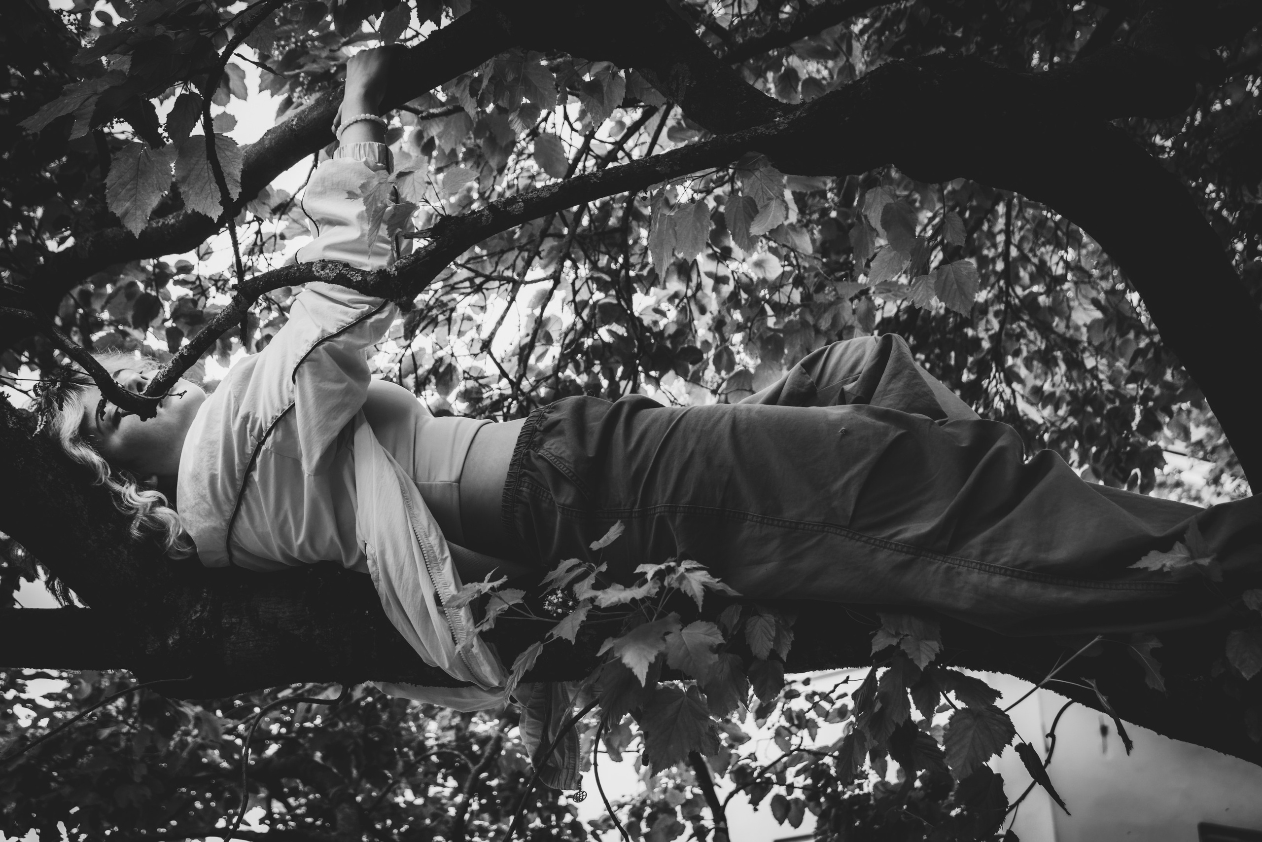 Lahe graatsia (Sonja). Nebula 25 — Fotod teie hingele