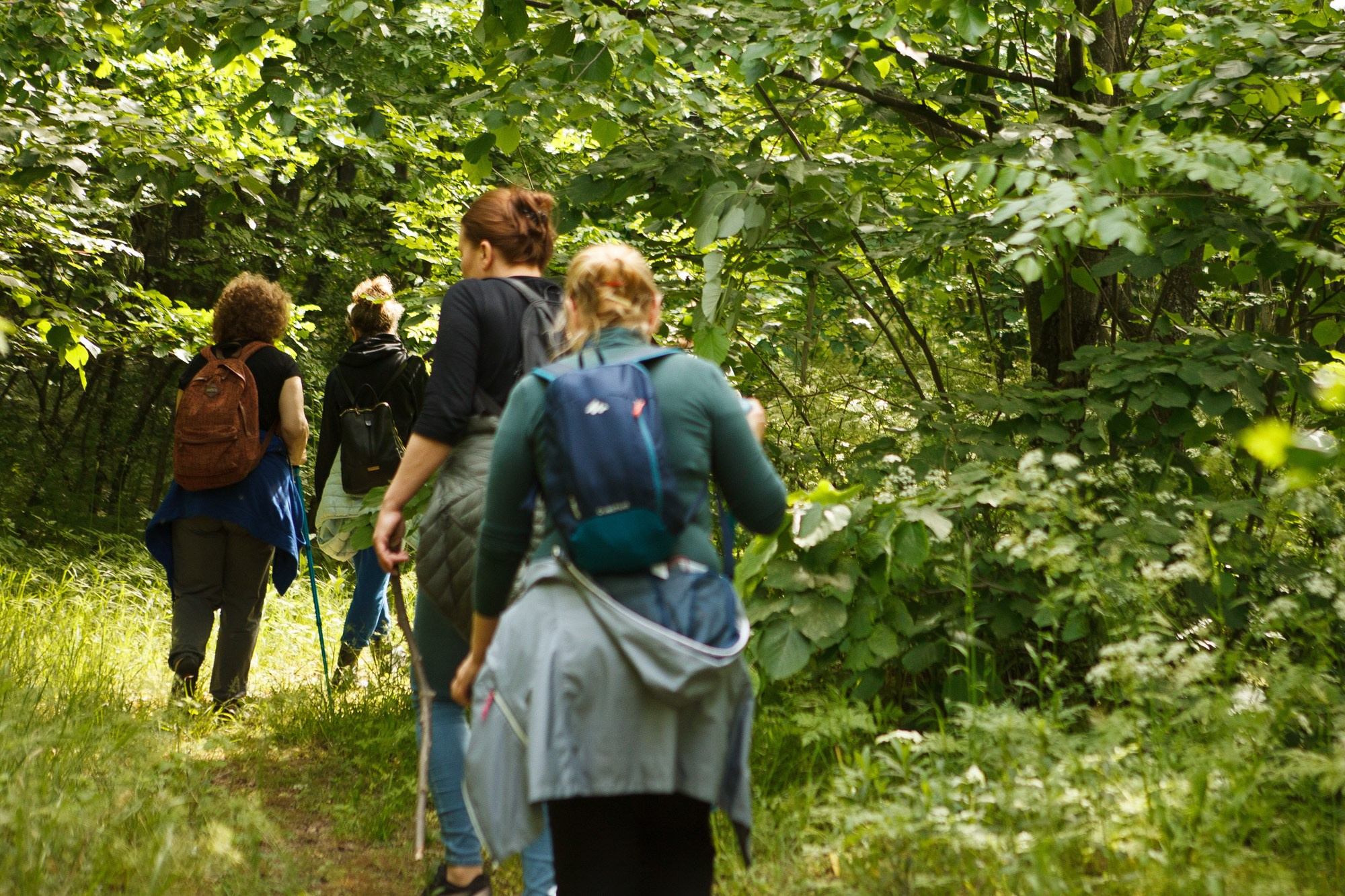 Tururi foto pentru programele Scoala Verde