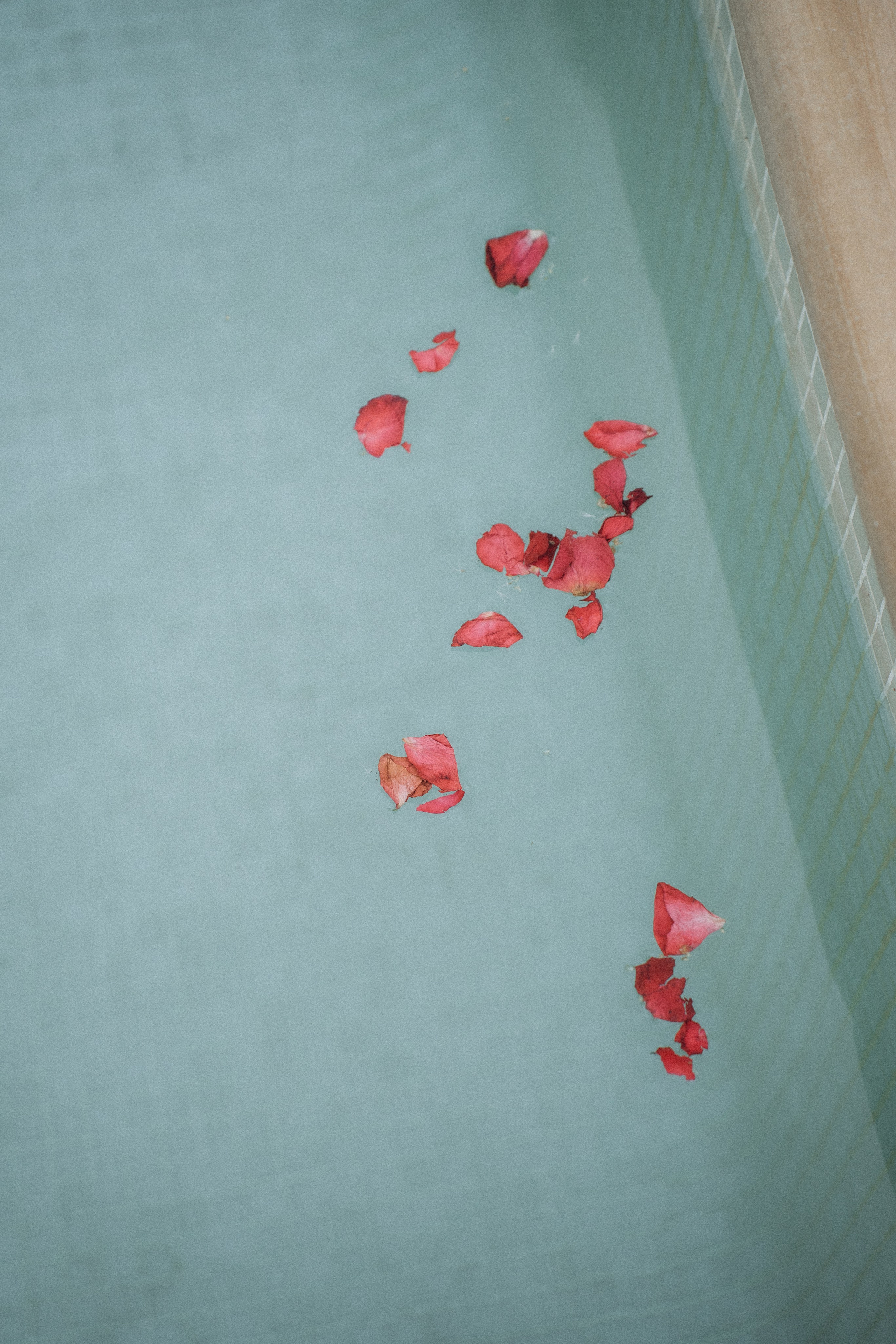 Dana & Alex. Rural Can Jaques. Paola wedding photographer / videographer in Barcelona