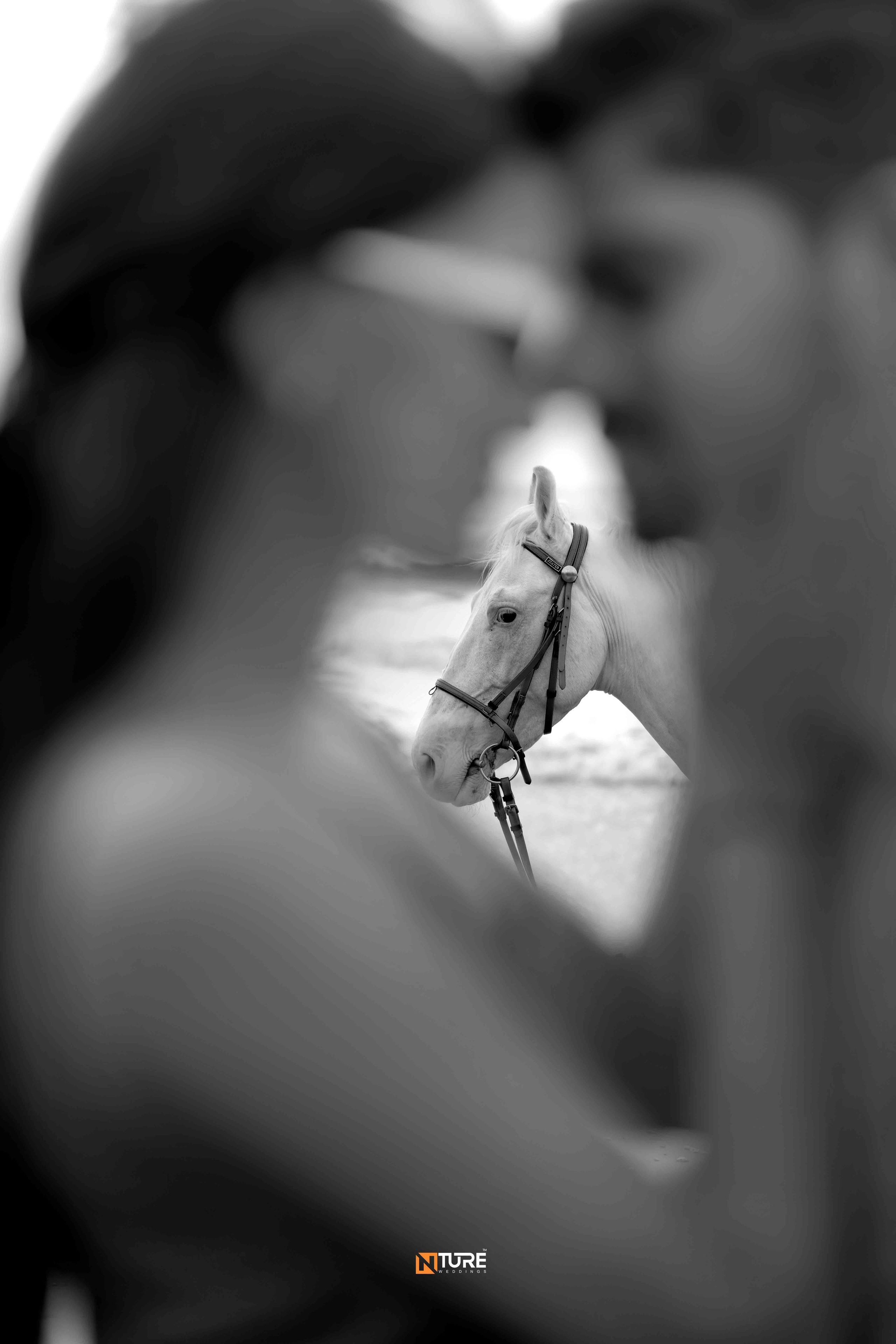 KAVYA & VISHWA. NTURE WEDDING