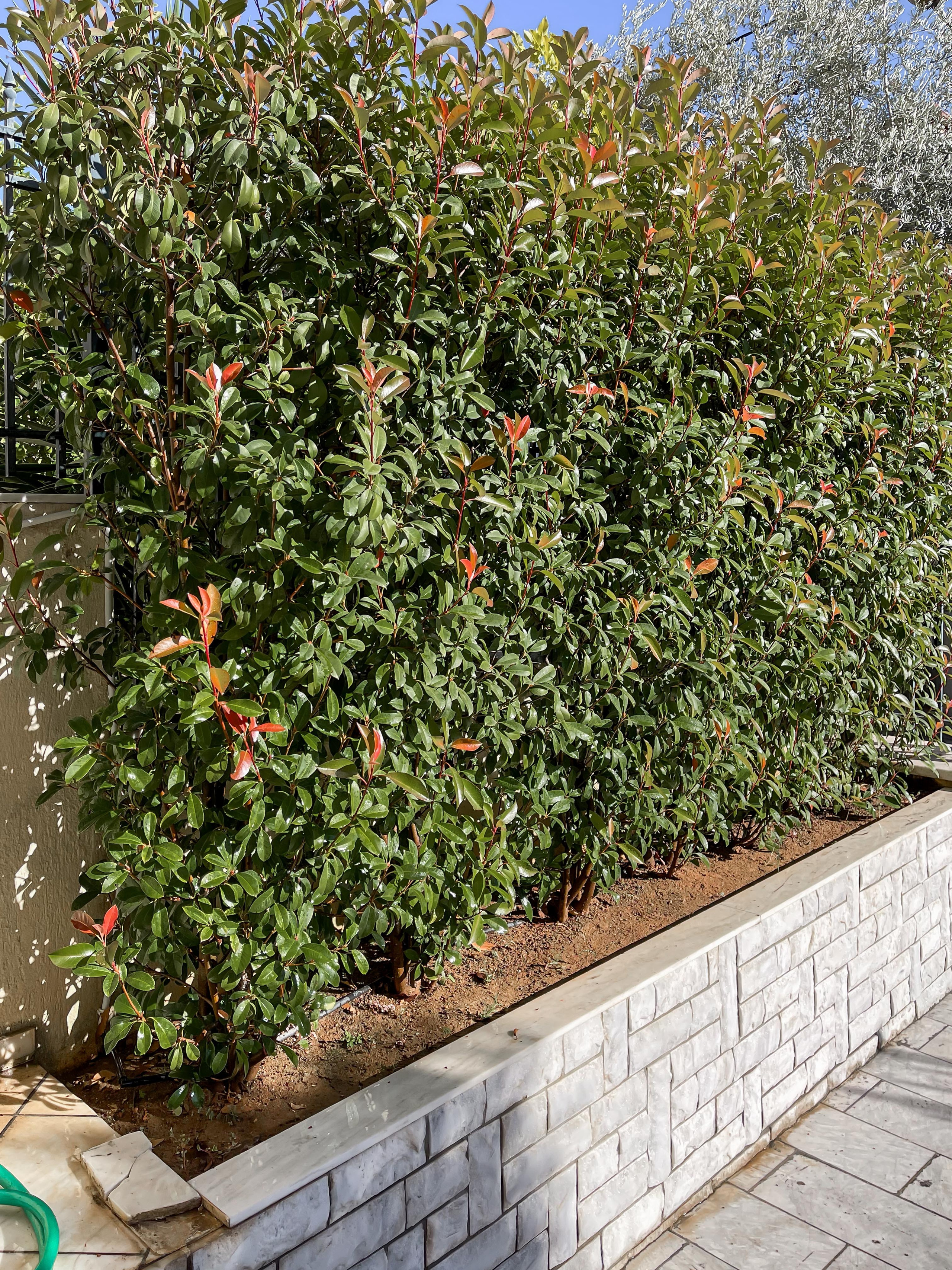 Κήπος Ψυχικό. Geoponitikon-Όταν η Επιστήμη συναντά την Τέχνη στο Φυσικό Τοπίο!