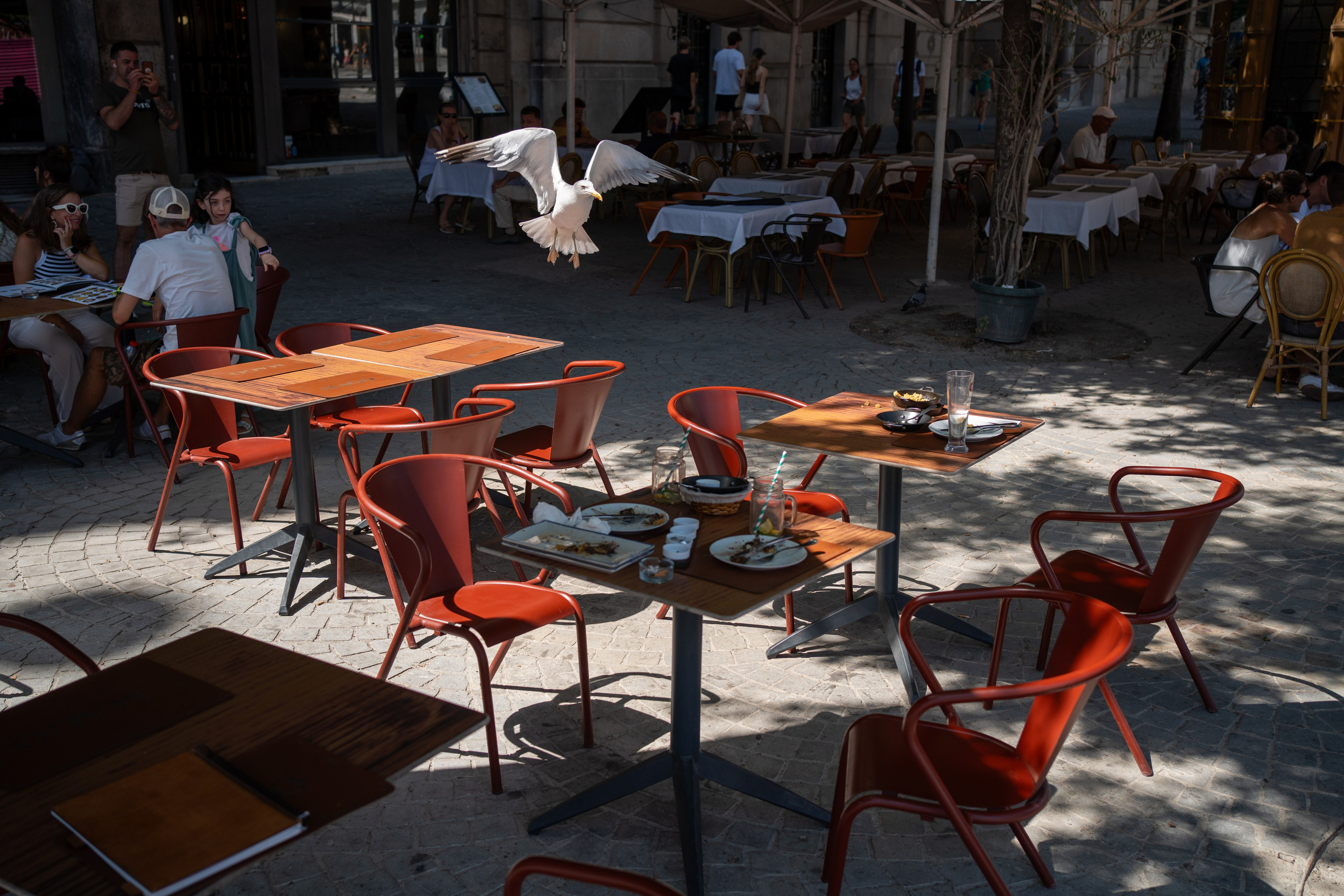 Работы Марии Шер. Sher.SCHOOL