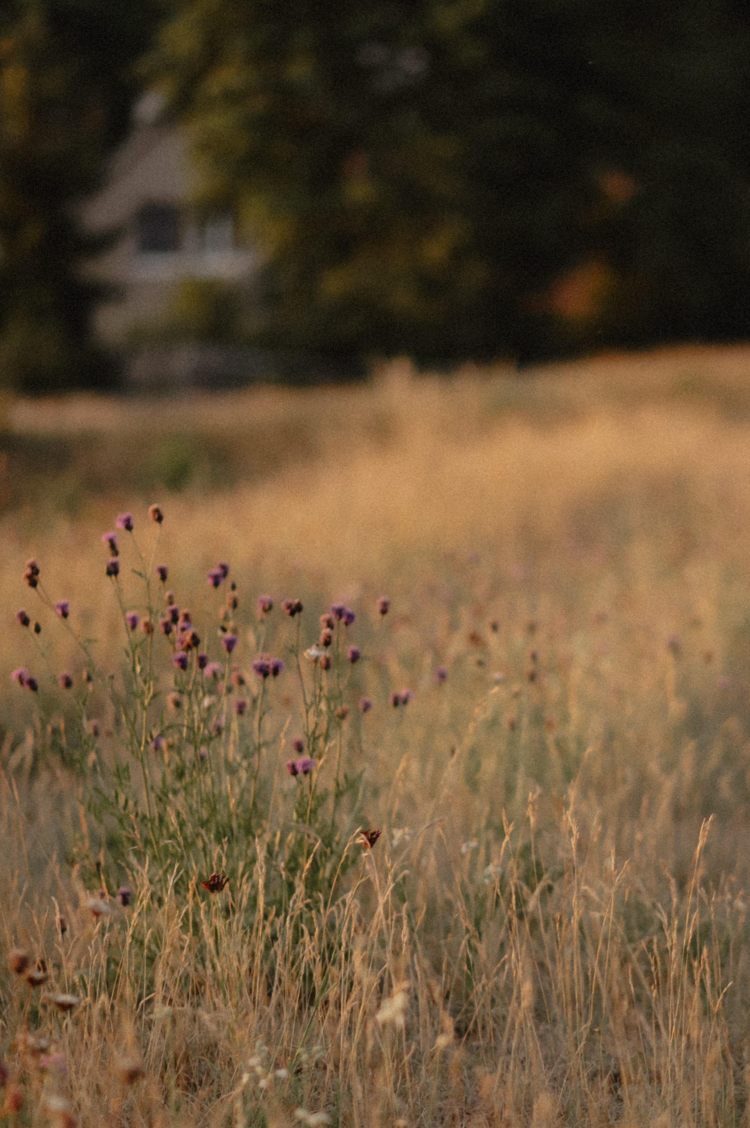Eine Liebe, die Raum gibt. Photographer in Ansbach for Couples, Weddings and After Wedding