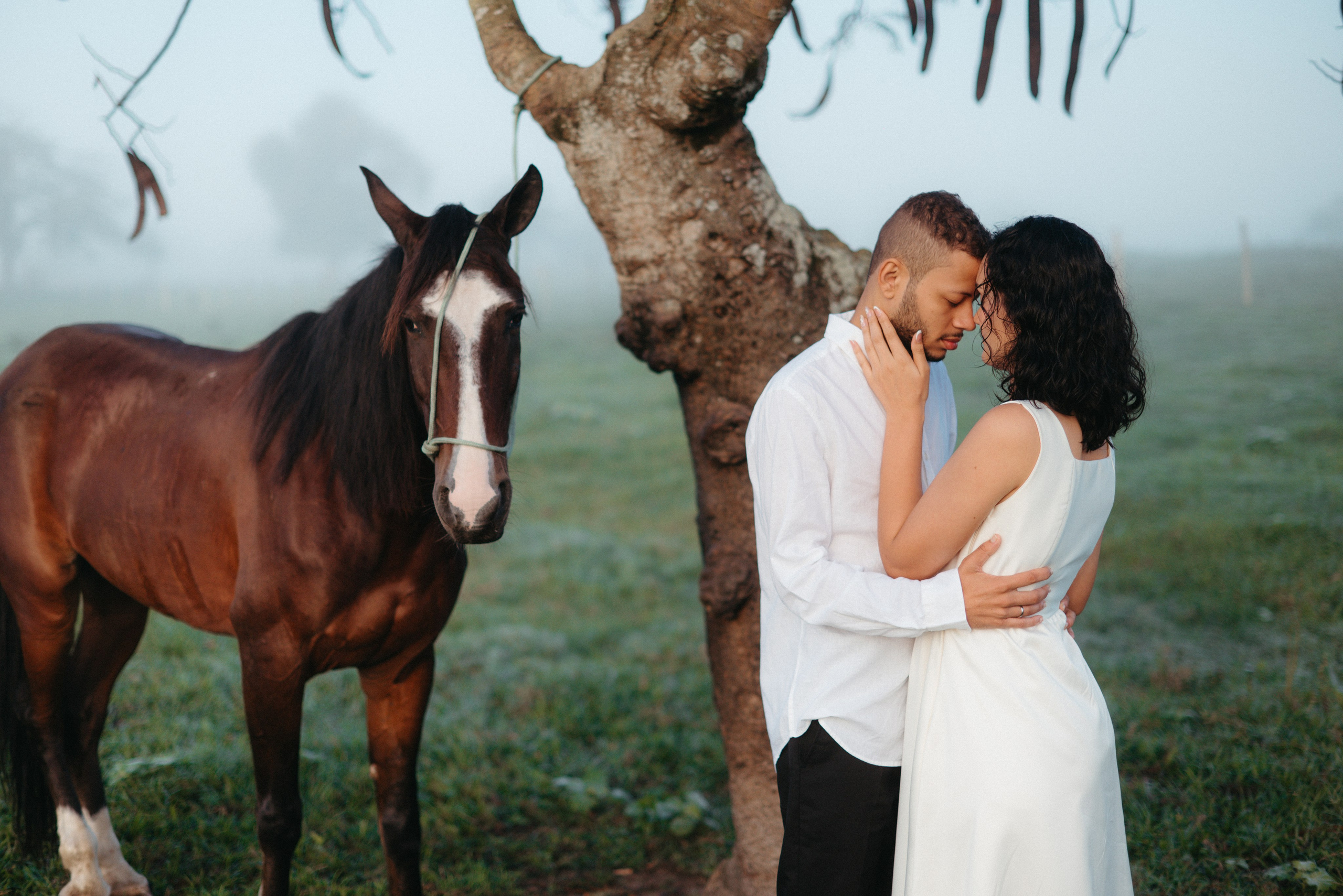 Ryan & Jhennifer | Pré Wedding. Junior Ribeiro Fotografia