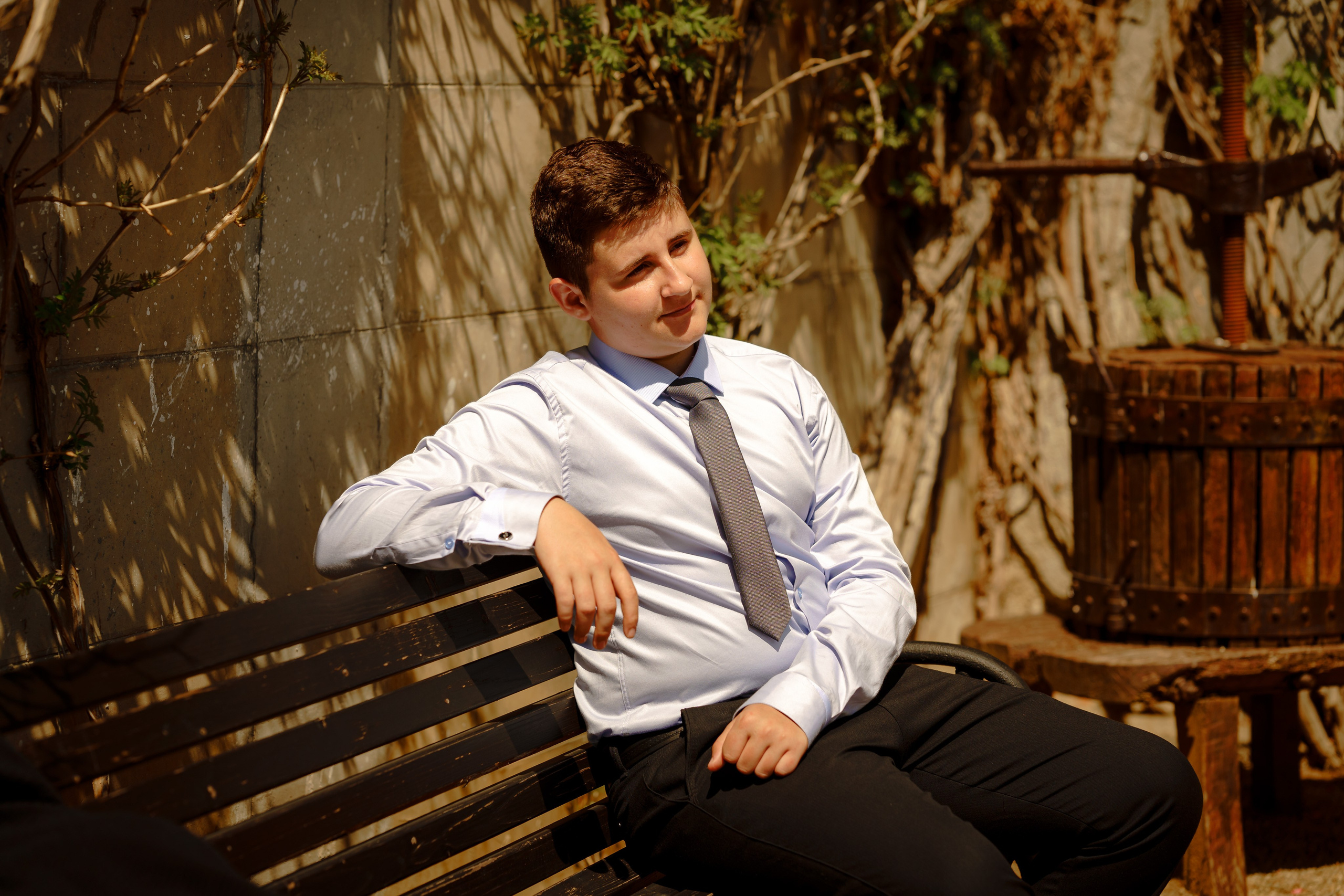 Roca Bruna. Trendy Albums