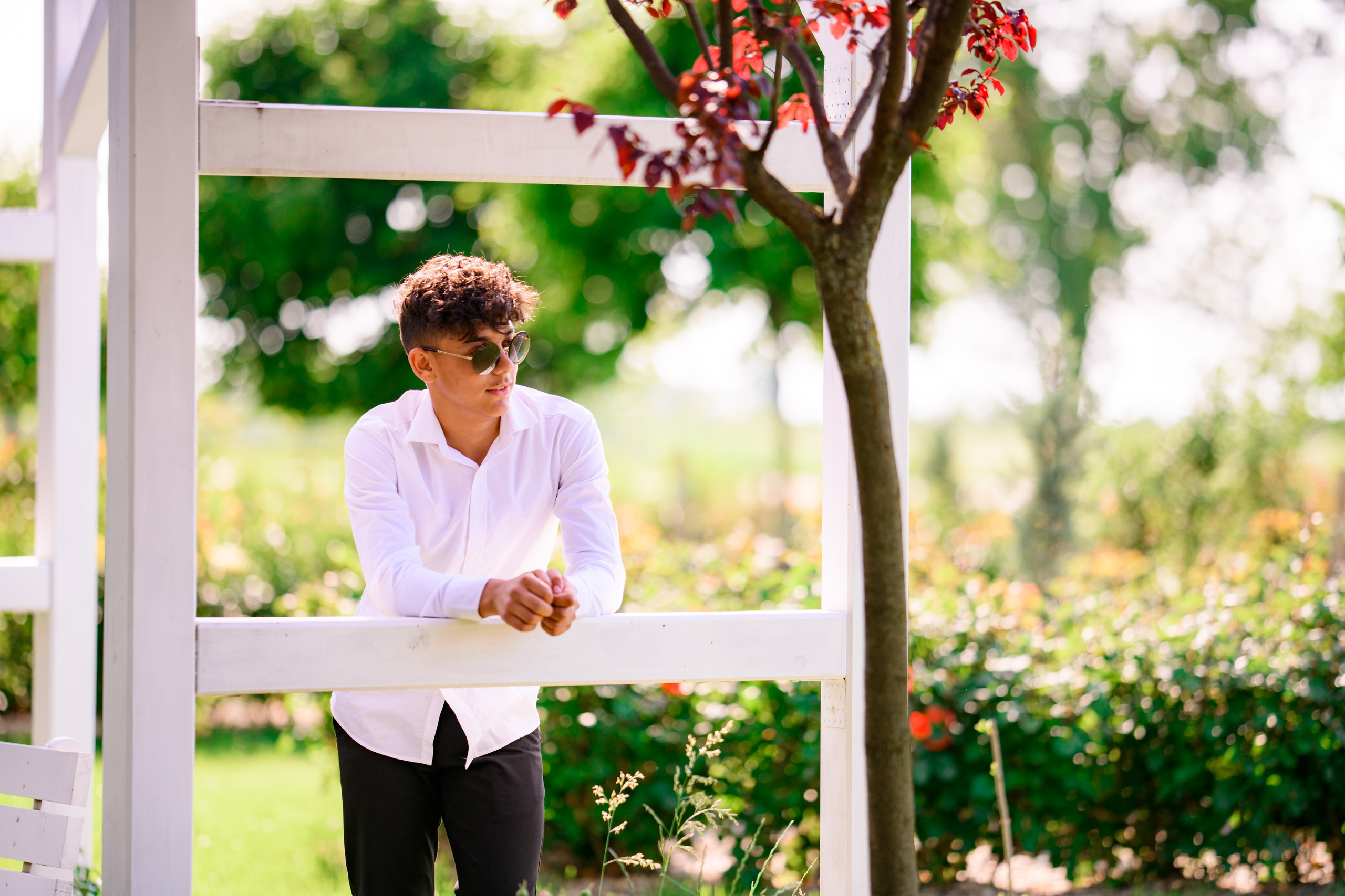 Moara Ineu 25 lei/ elev. Trendy Albums