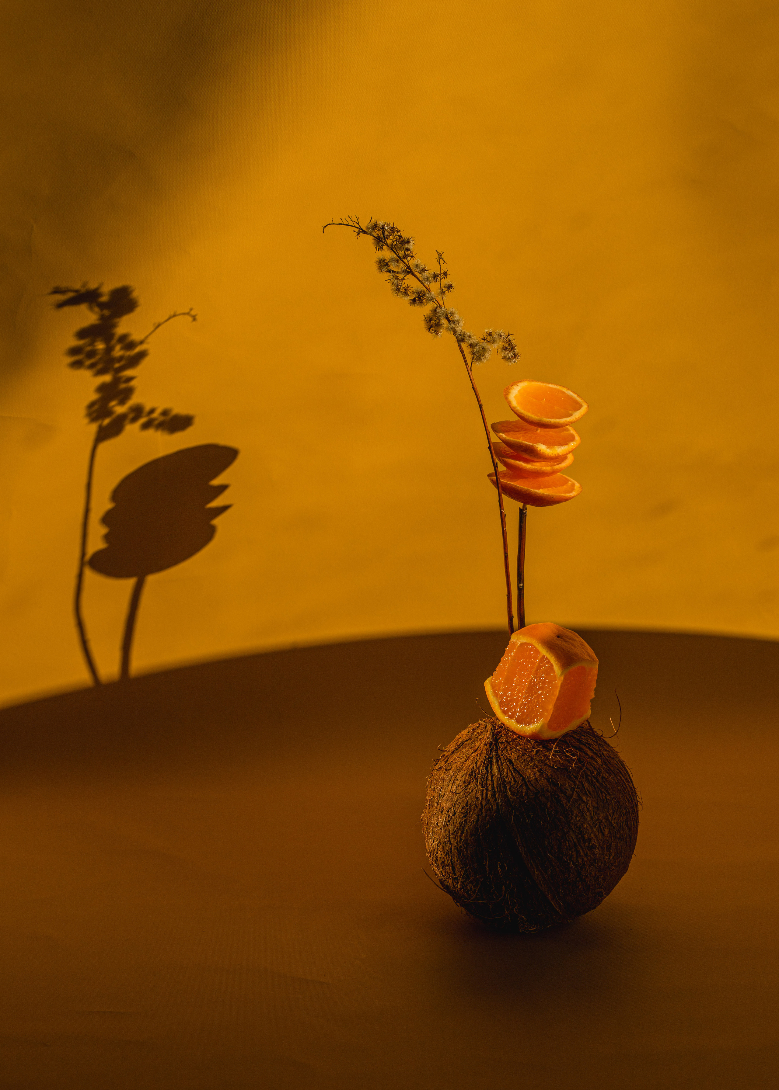 still life abstract  contemporary colourful