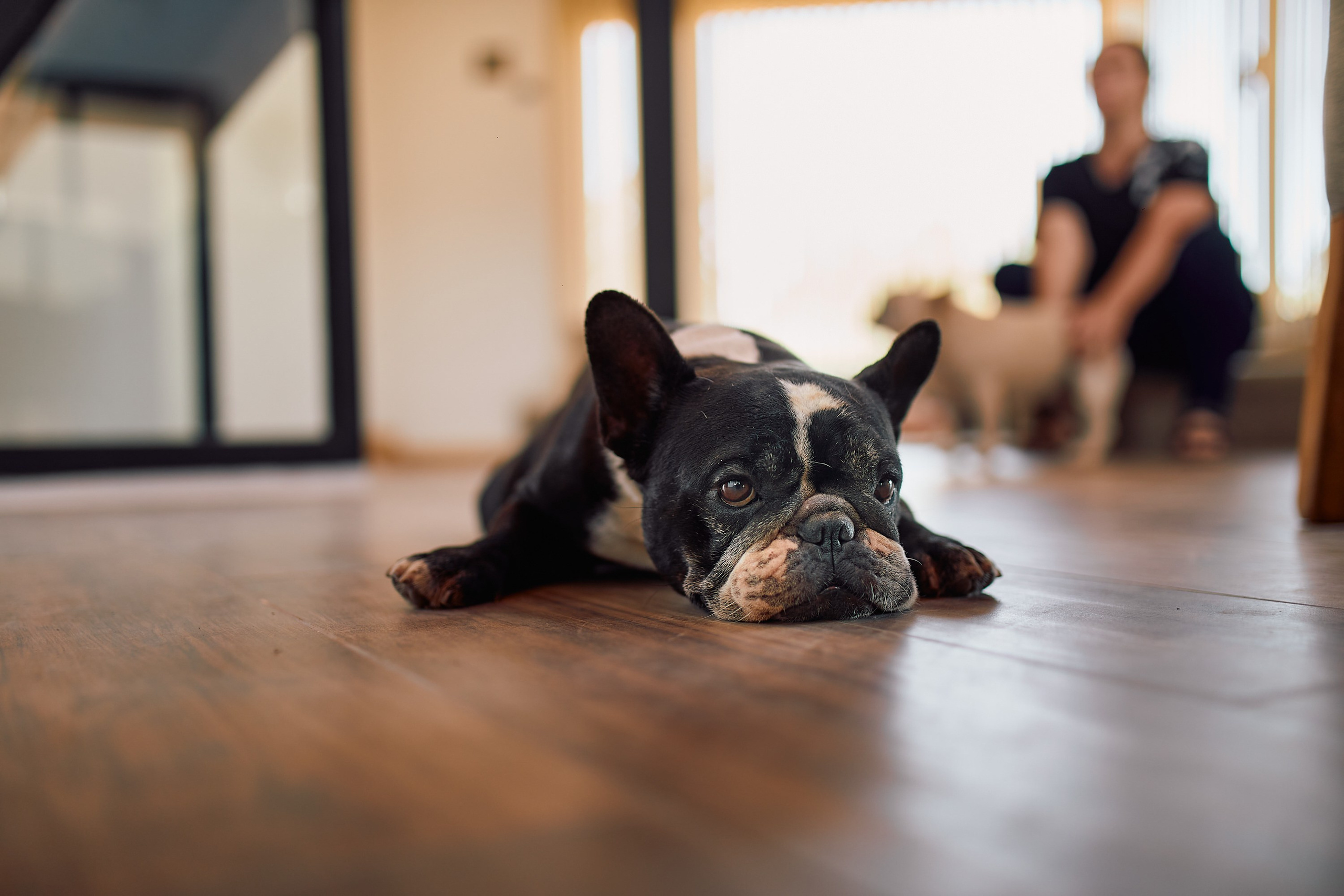 MARTINA. Marcos Ferrari Fotógrafo