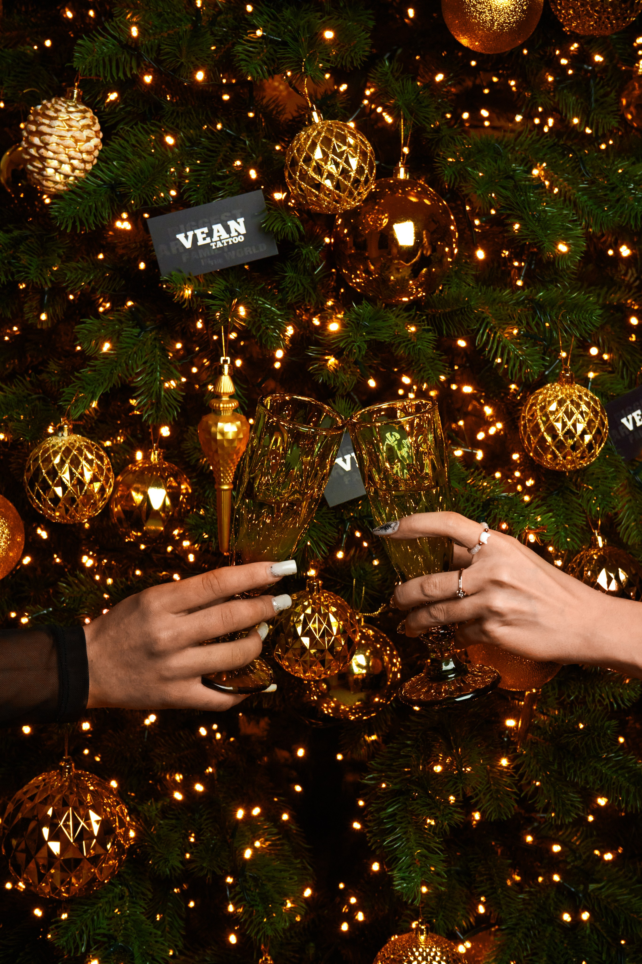 Новорічна зйомка для Vean Tattoo. Фотограф | Відеооператор Нікополь Олег Ісаченко