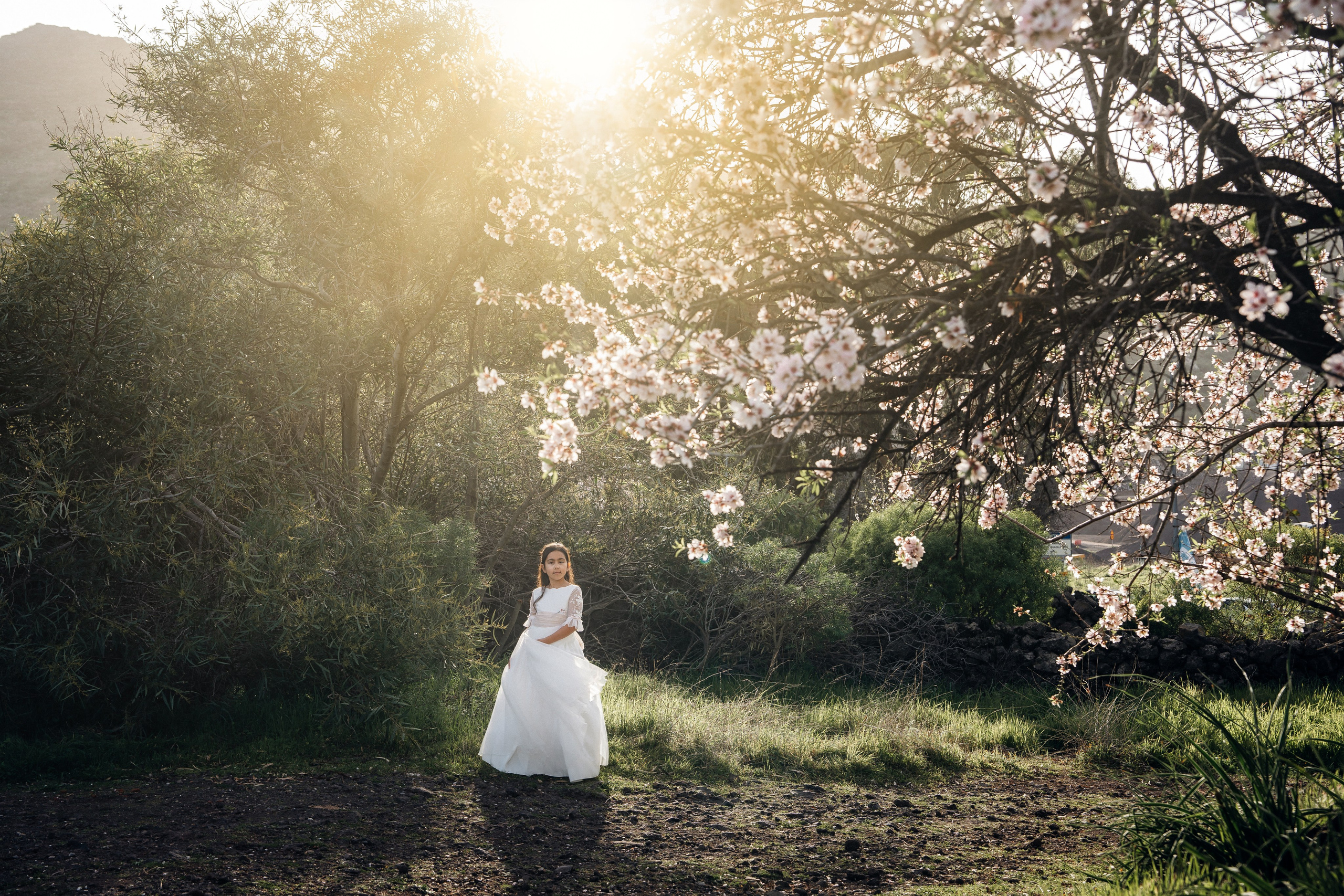 Fotos de comunión en Tenerife – Sesión con almendros en flor. Tania Bonnet | Fotógrafa profesional en Tenerife – Sesiones con vestidos voladores
