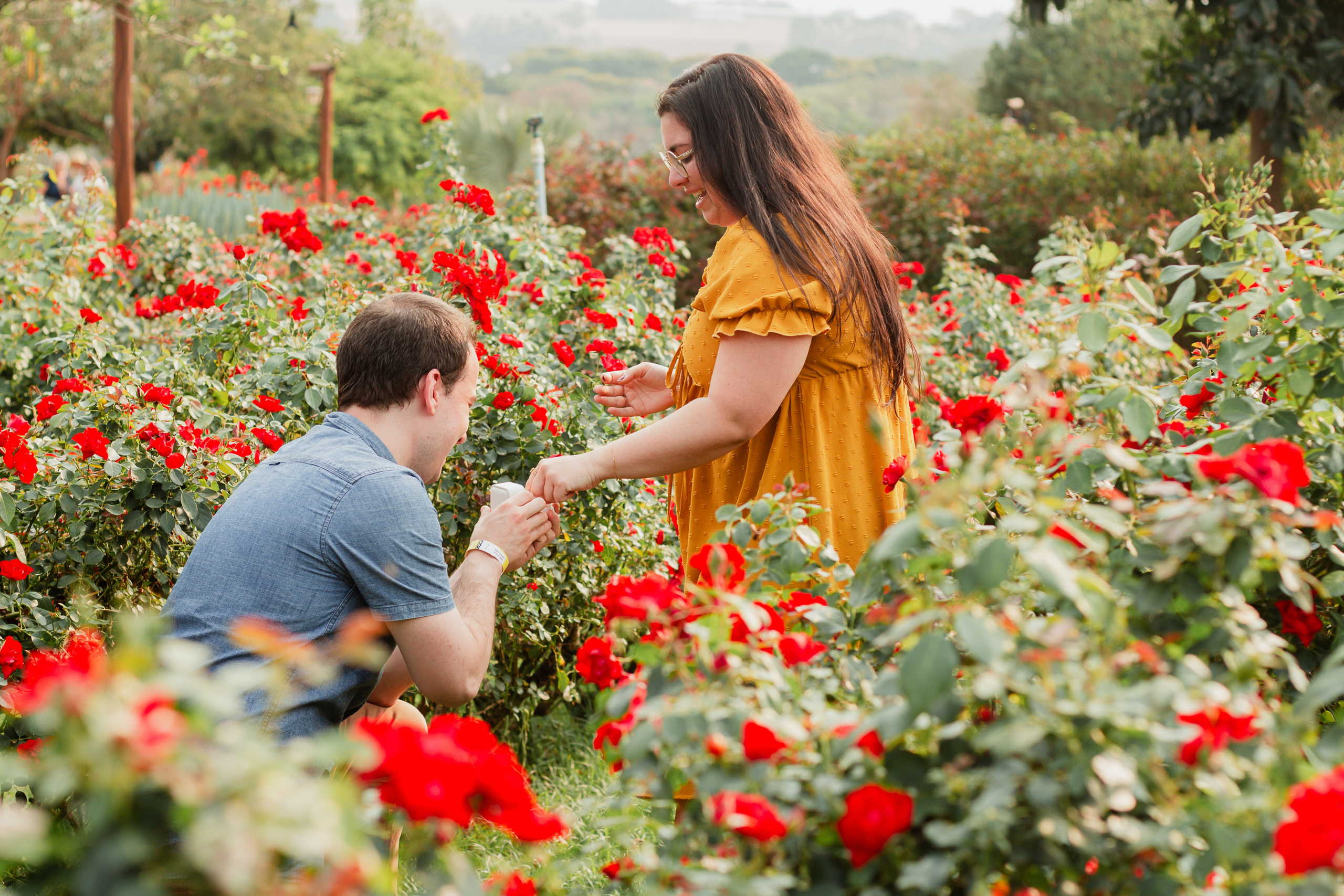 Pedido de Casamento e Pré-Wedding em Holambra | Joyce Maria Fotografia. Joyce Maria Fotografia | Fotógrafa em Holambra
