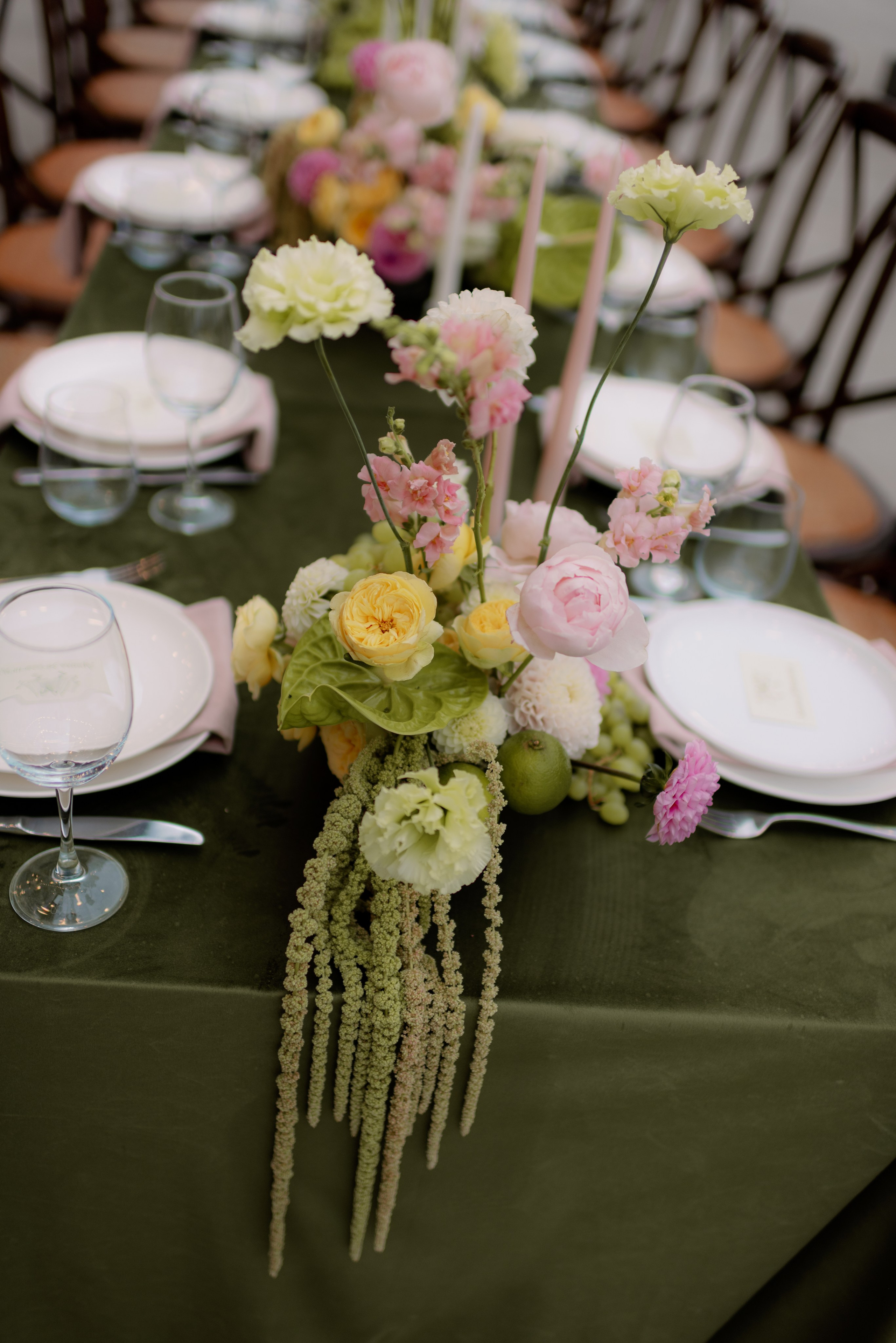 *. Maanukki photographer