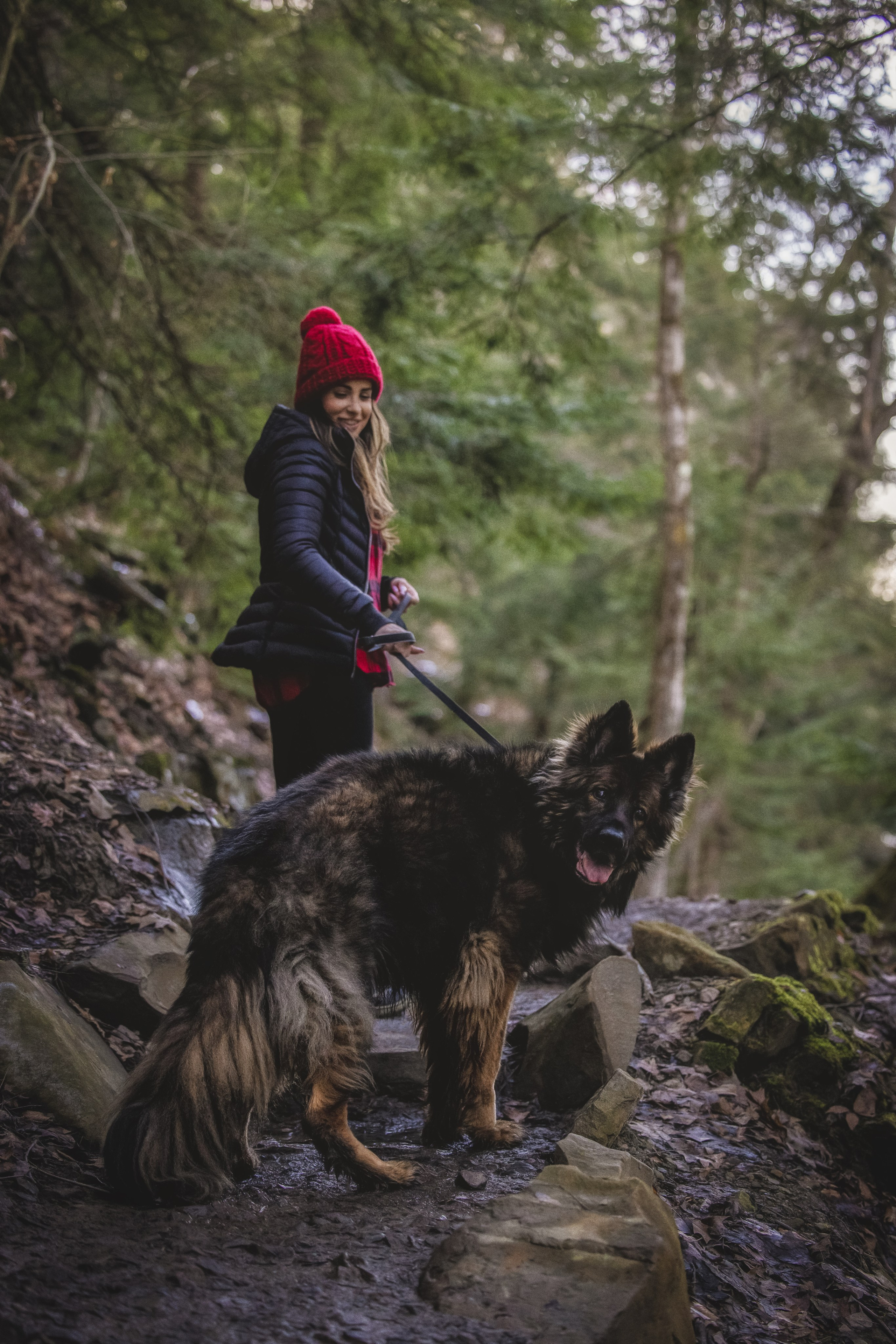 Ezra & Laura. Pet Photographer Viktoriya Aleshenko