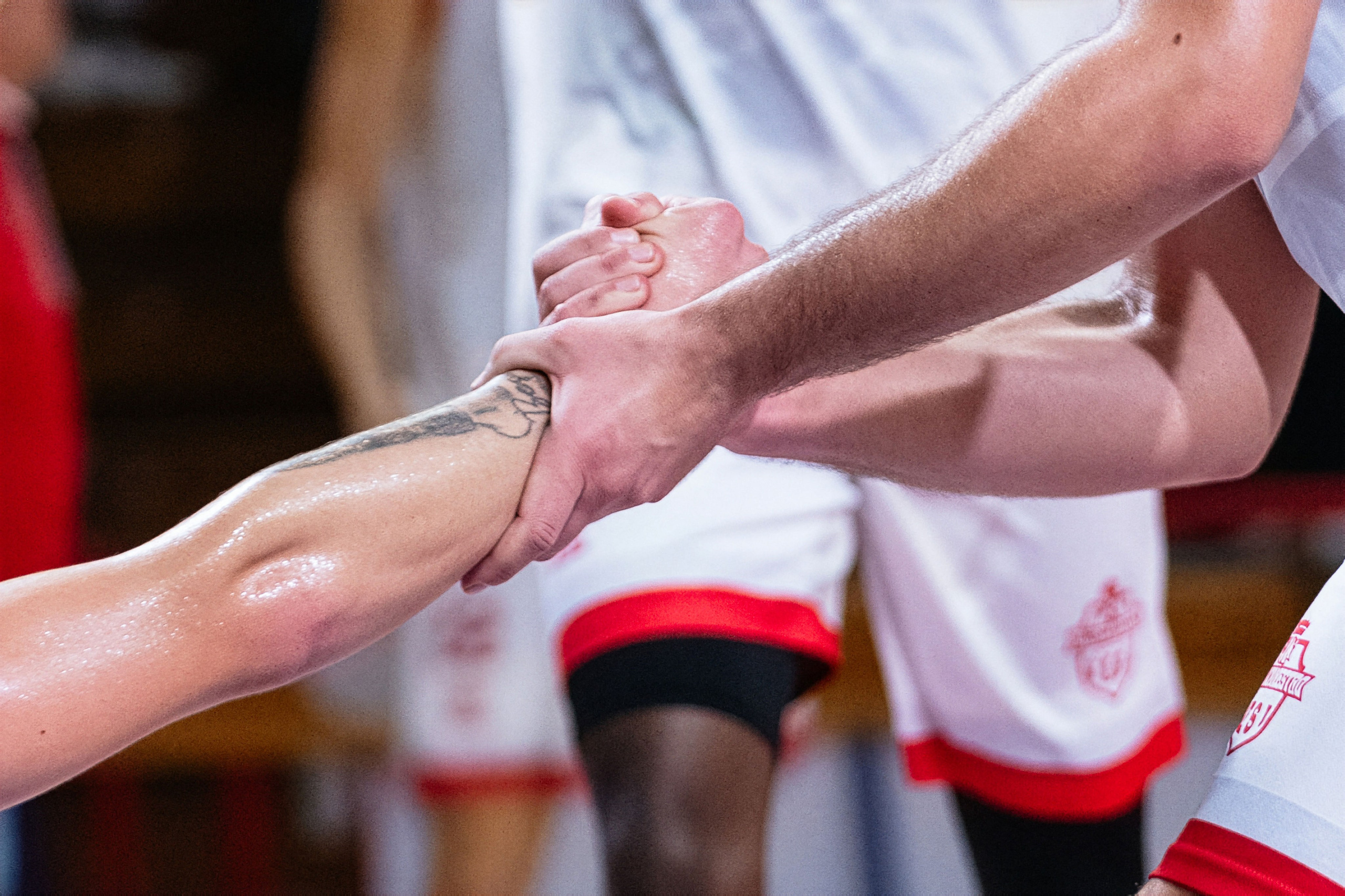 Pallacanestro Jesi. Weddings, sports and events photographer in Senigallia