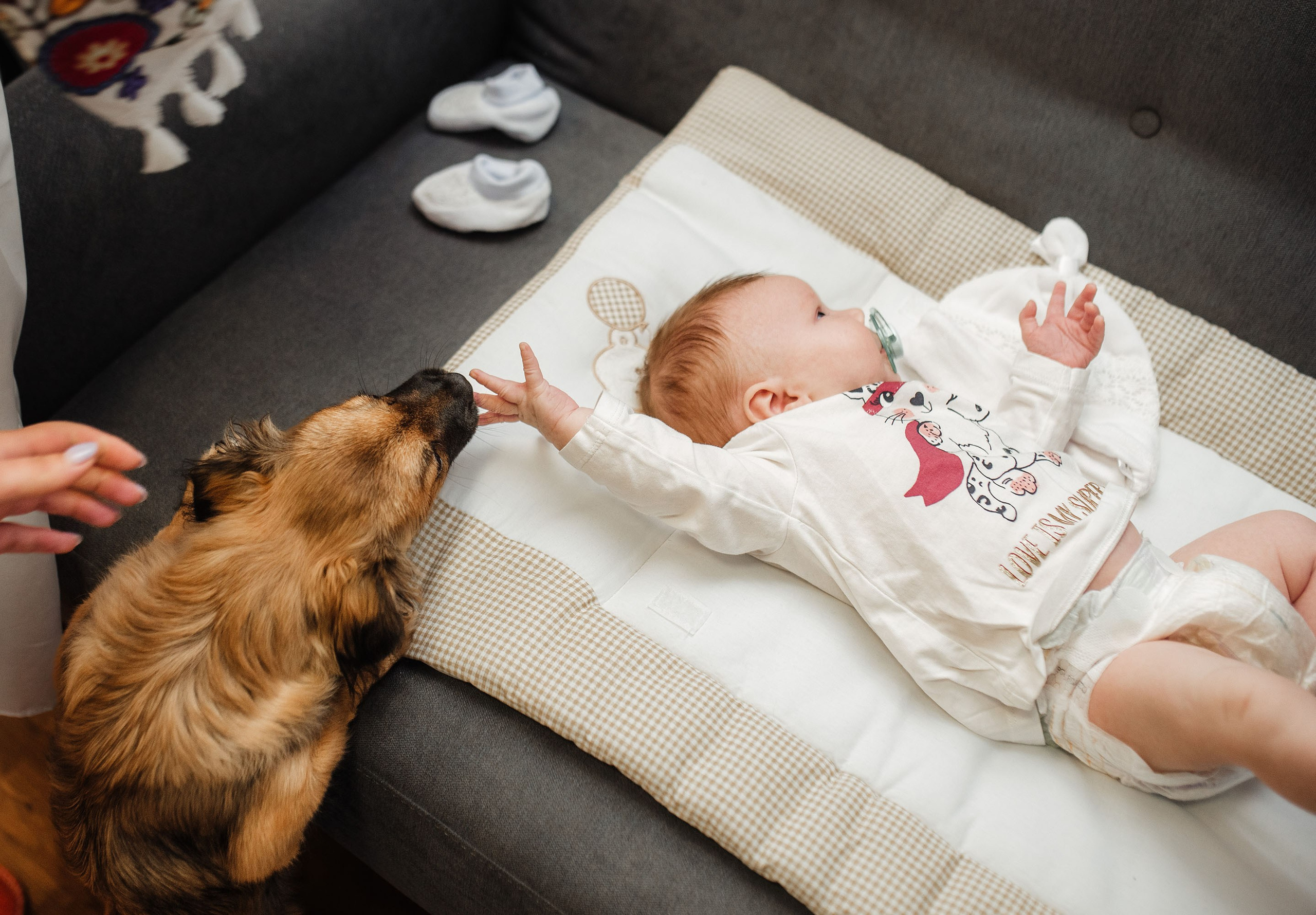 Фотосесія хрещення. Злата. Весільний та портретний фотограф Кизим Арсен