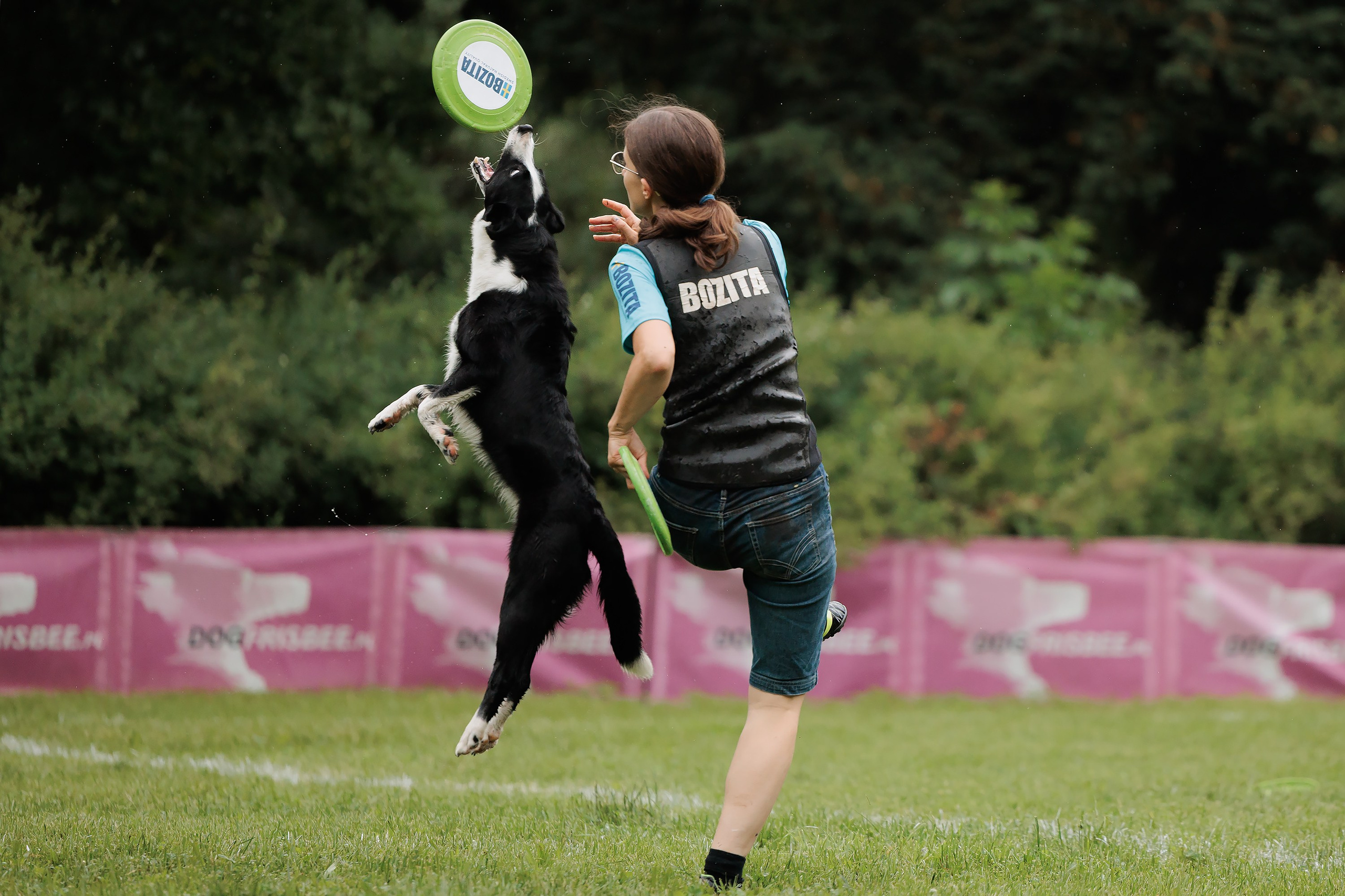 Latające psy, Wrocław'25. Kaja | fotograf psów we Wrocławiu