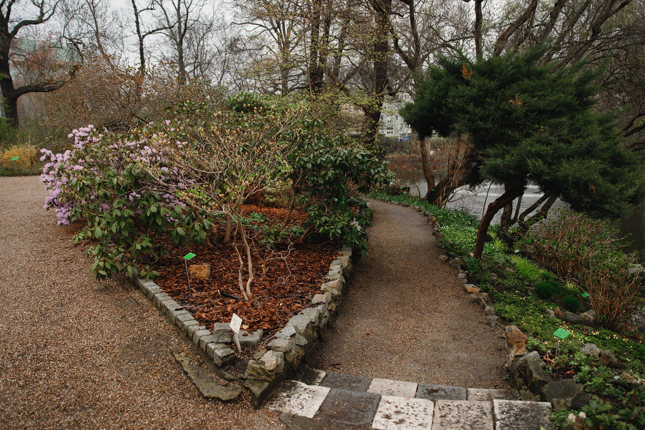 Botanical garden in Wroclaw. Kaja | fotograf we Wrocławiu | ludzie i psy