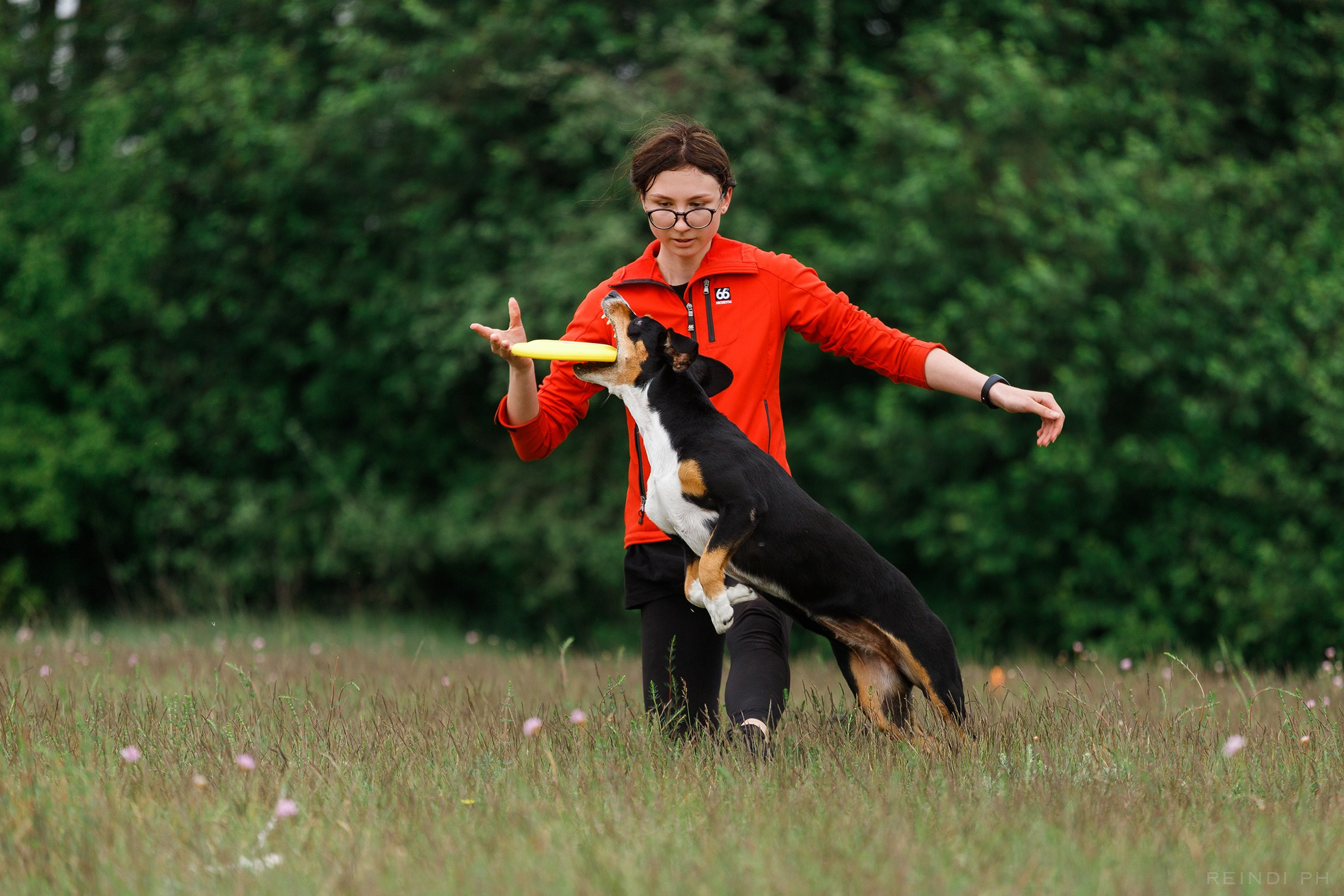 Dog frisbee championship | summer. Kaja | fotograf we Wrocławiu | ludzie i psy