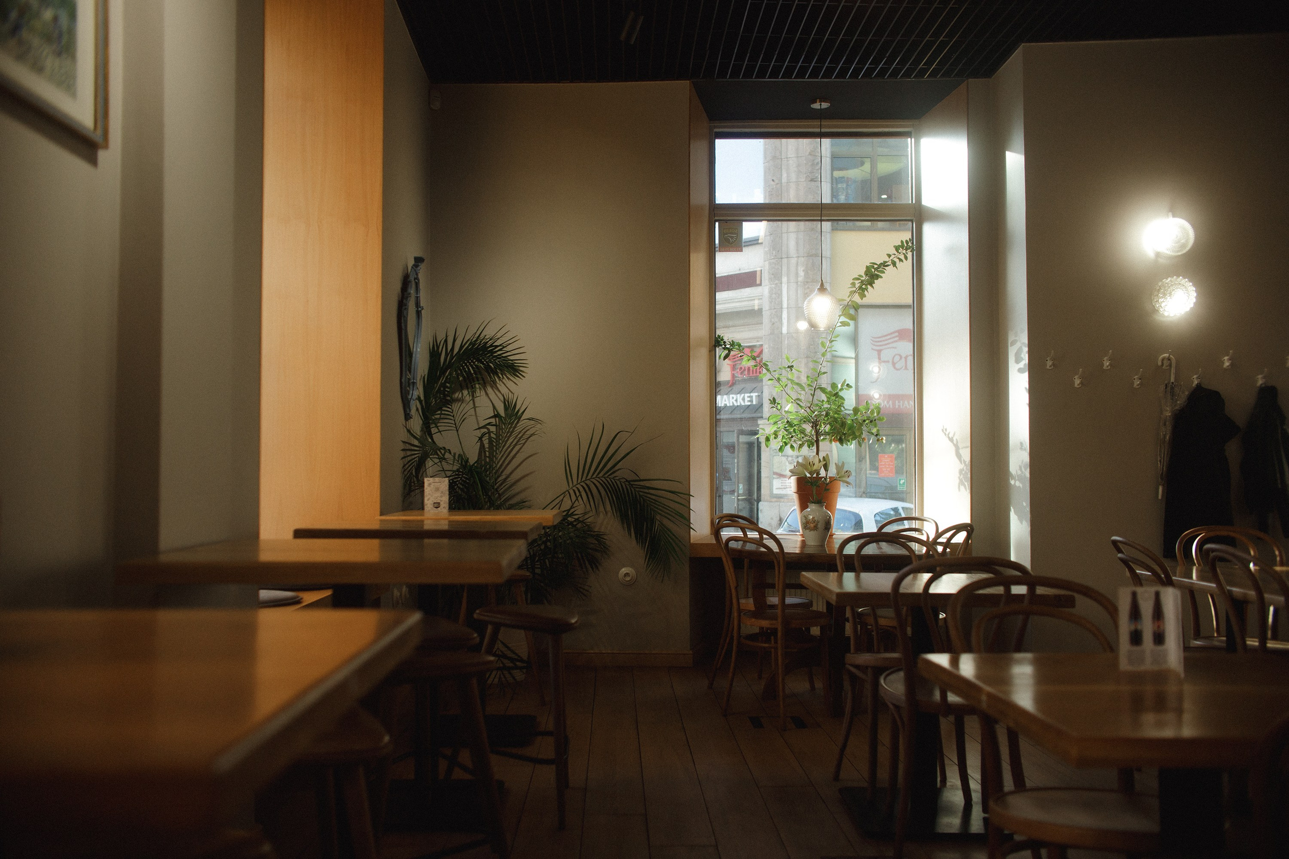 Nastya. Kaja | fotograf psów we Wrocławiu