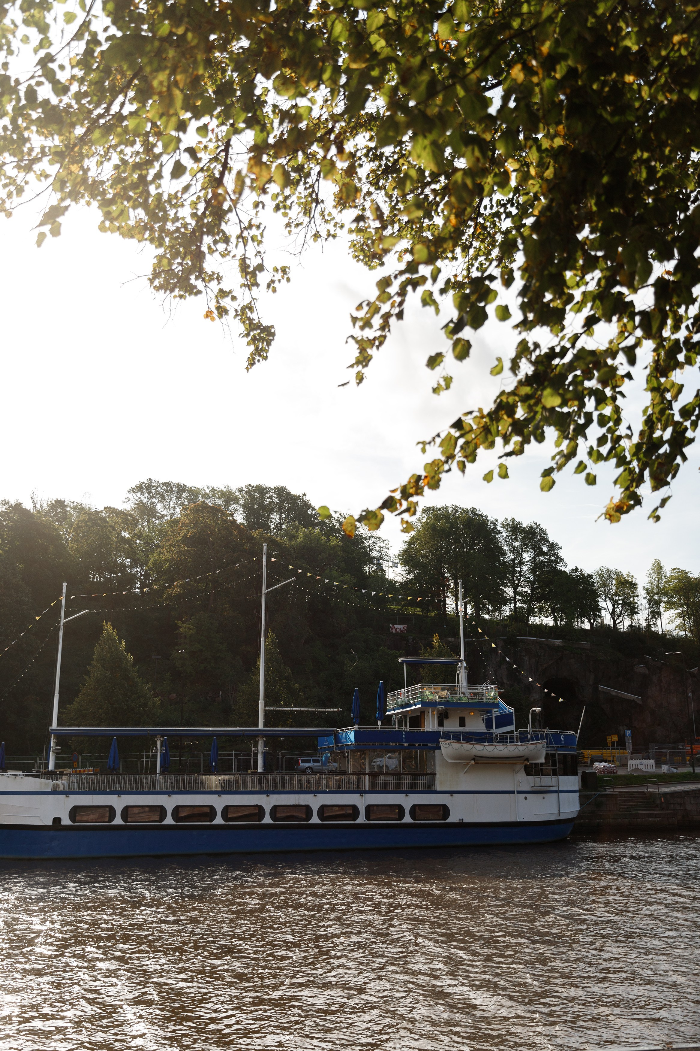 Turku. Kaja | fotograf psów we Wrocławiu