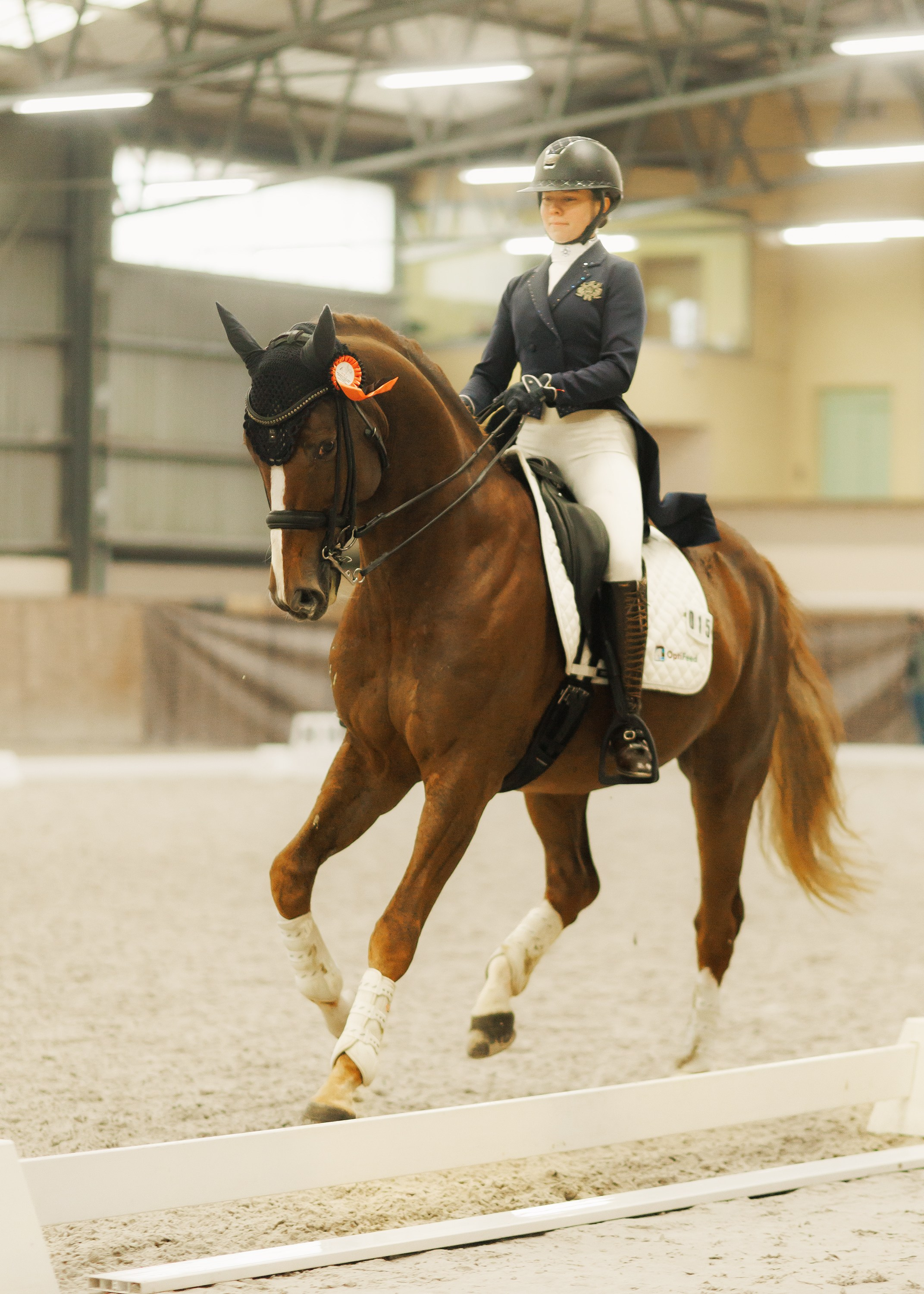 Partynice dressage \ feb'25. Kaja | fotograf we Wrocławiu | ludzie i psy