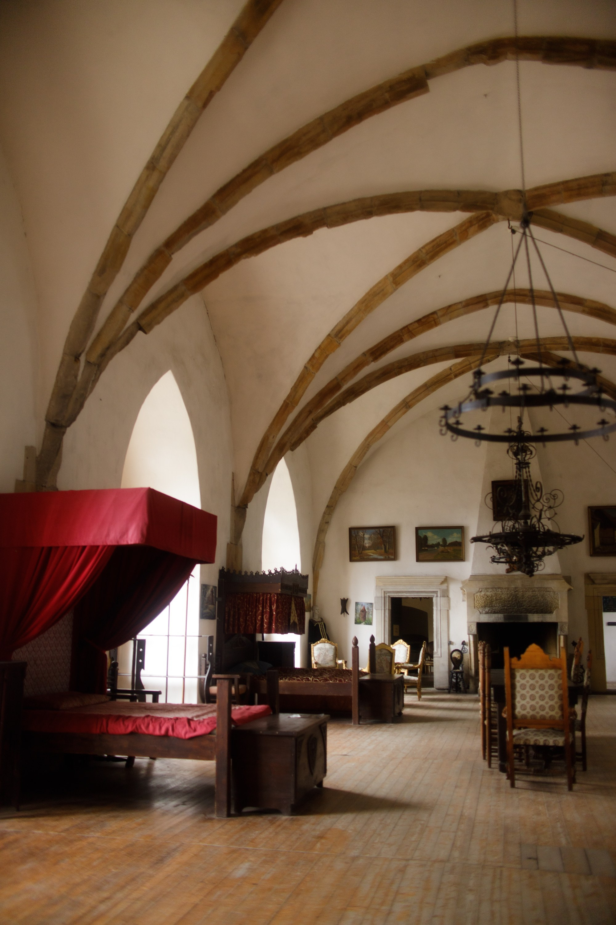 Zamek Grodziec. Kaja | fotograf psów we Wrocławiu