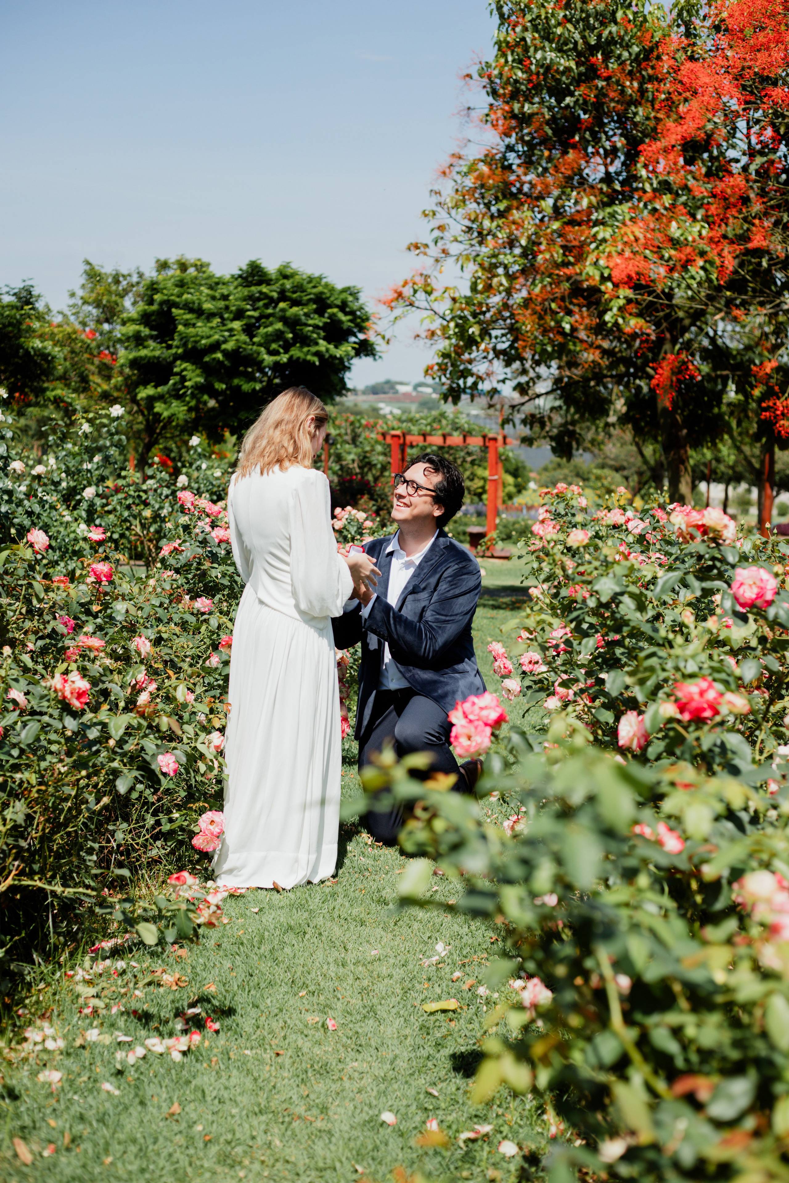 Pedido de Casamento /Bloemen Park. Joyce Maria Fotografia | Fotógrafa em Holambra