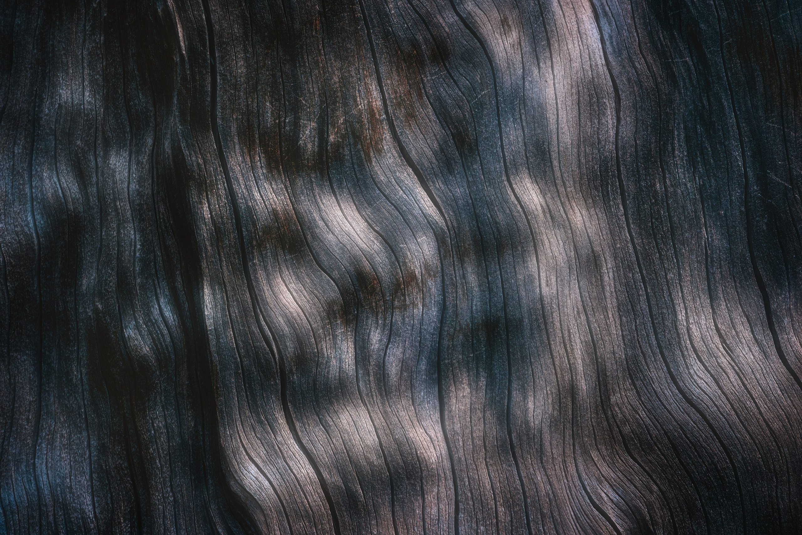 Abstract. Amirhamzeh Mashayekhi Photographer