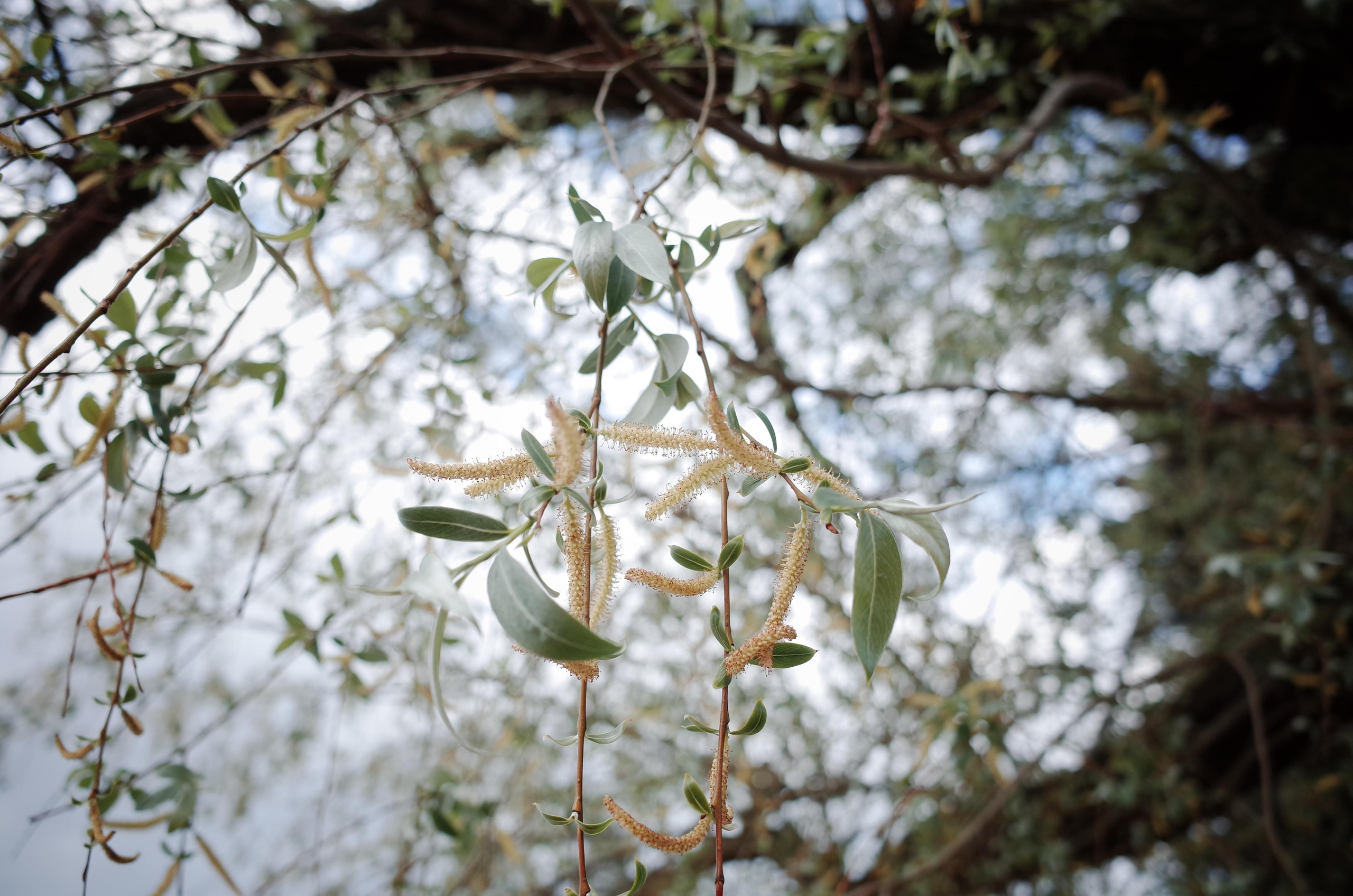 Demeter Dreams. Victoria Dini. Art photography in London / Folkestone, UK