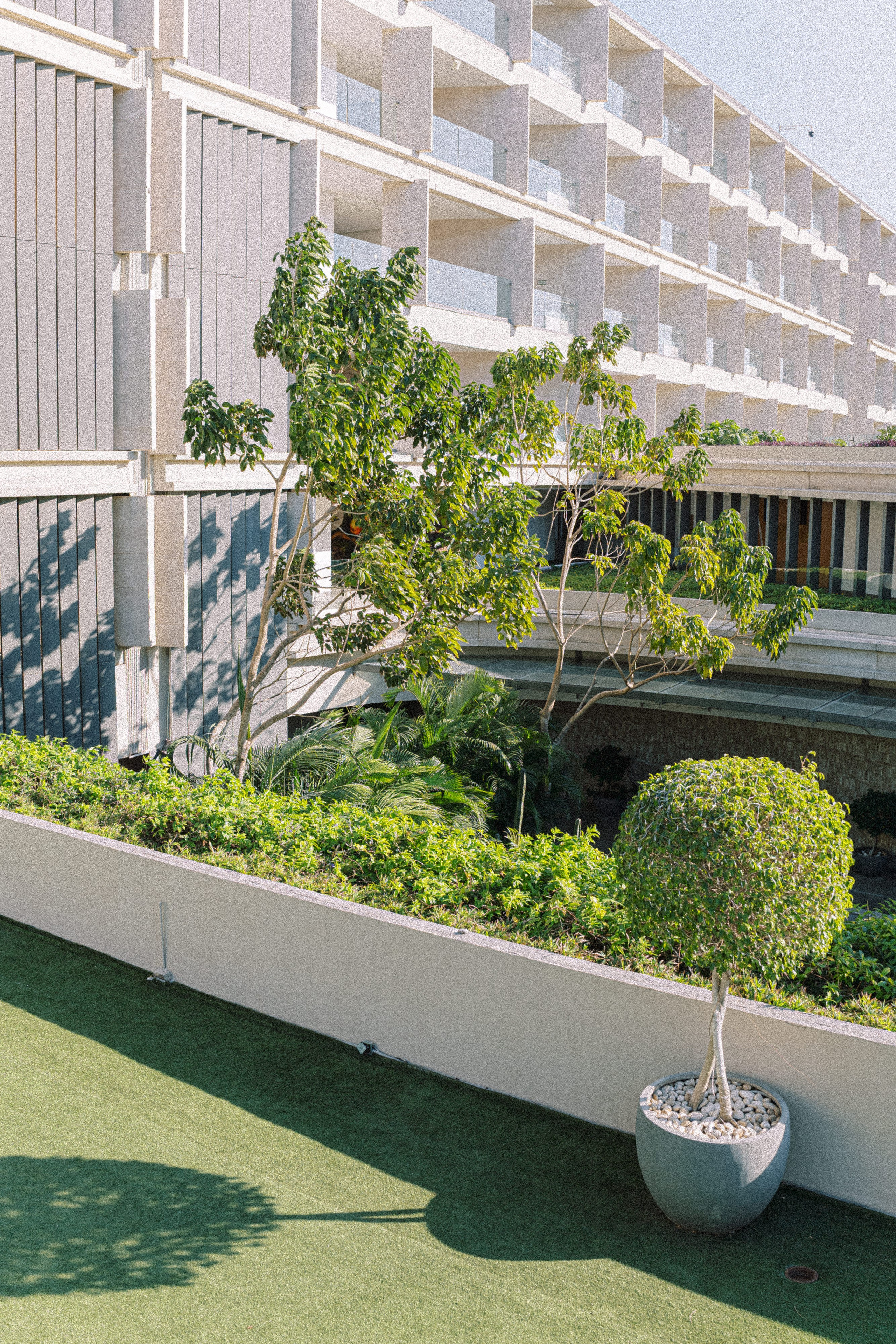 Wedding in Dreams Bahia Mita, Puerto Vallarta. Sayulita Wedding Photographer, Puerto Vallarta, Cabo