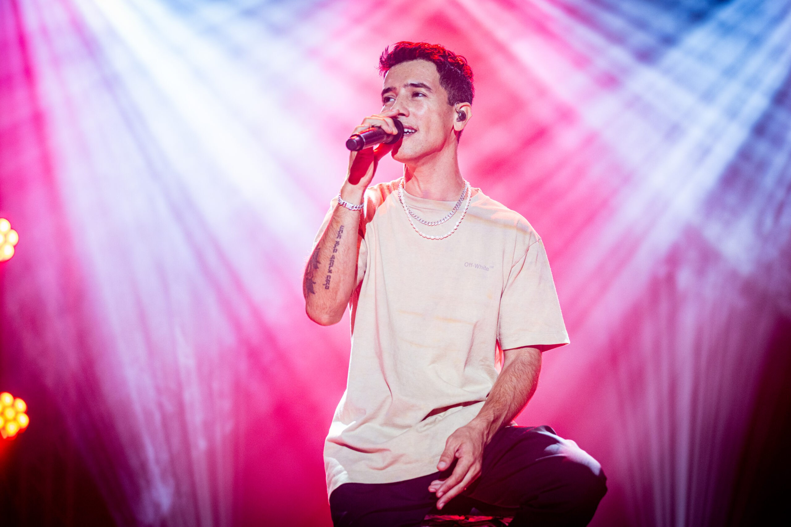 Shows. Noam Paradise Photographer