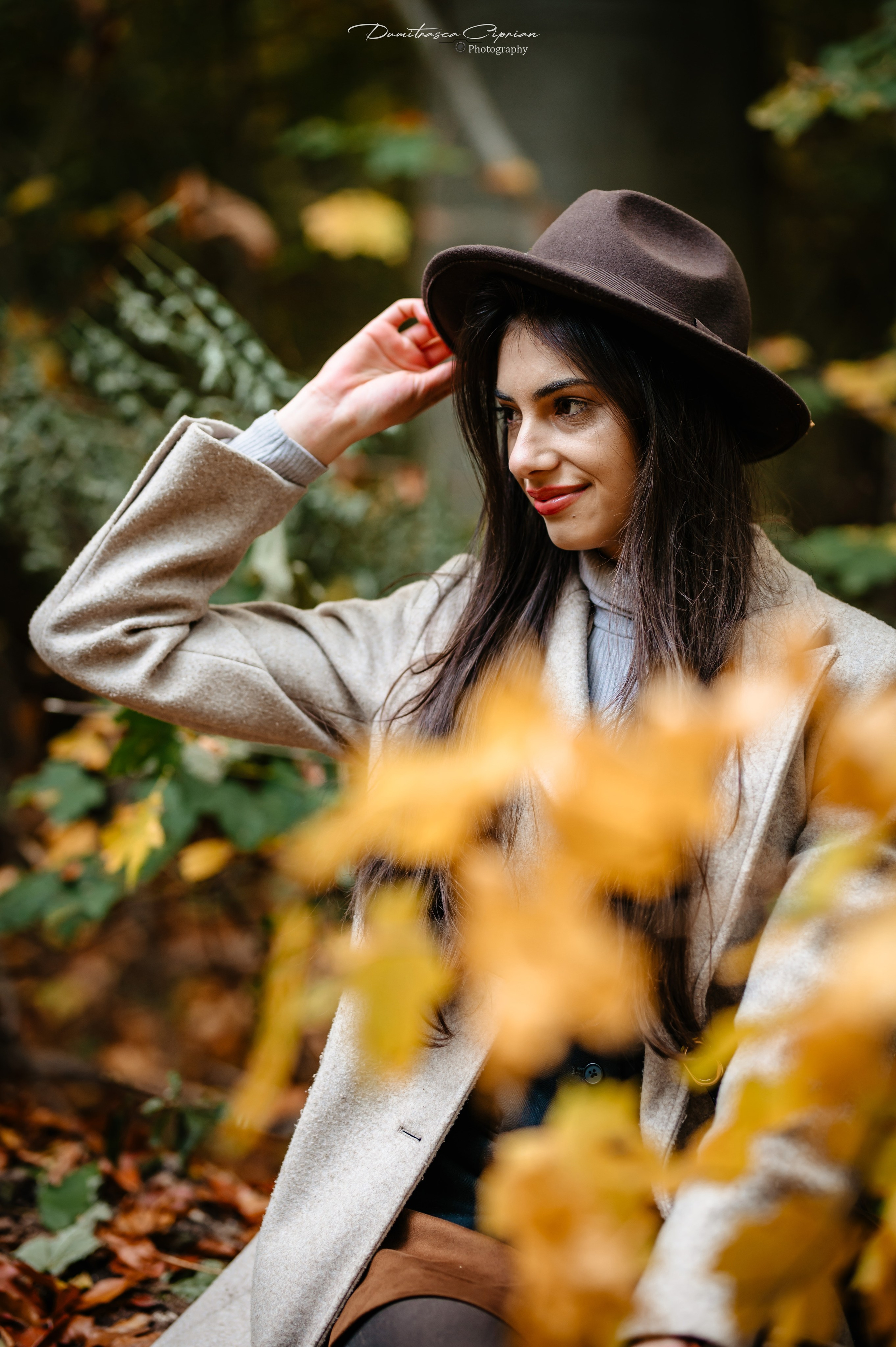 Golden Fall. Dumitrasca Ciprian Photography