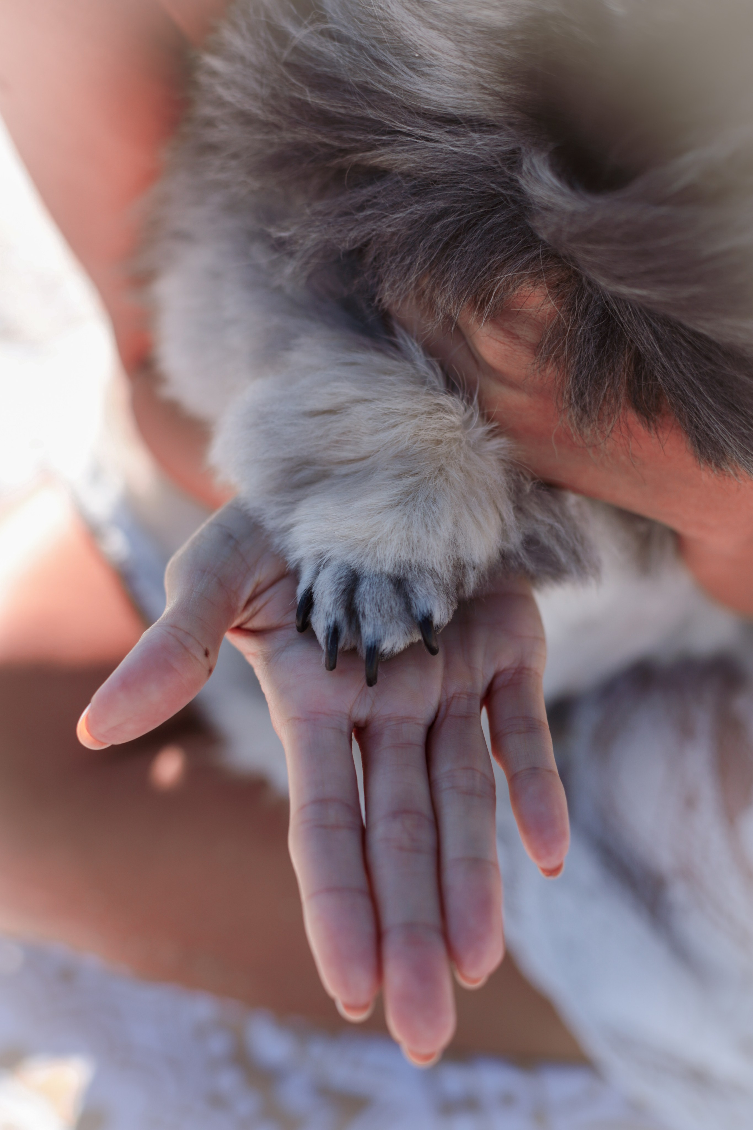 Liza. VALERIIA VIUNOVA individual shooting\love story\event\brand