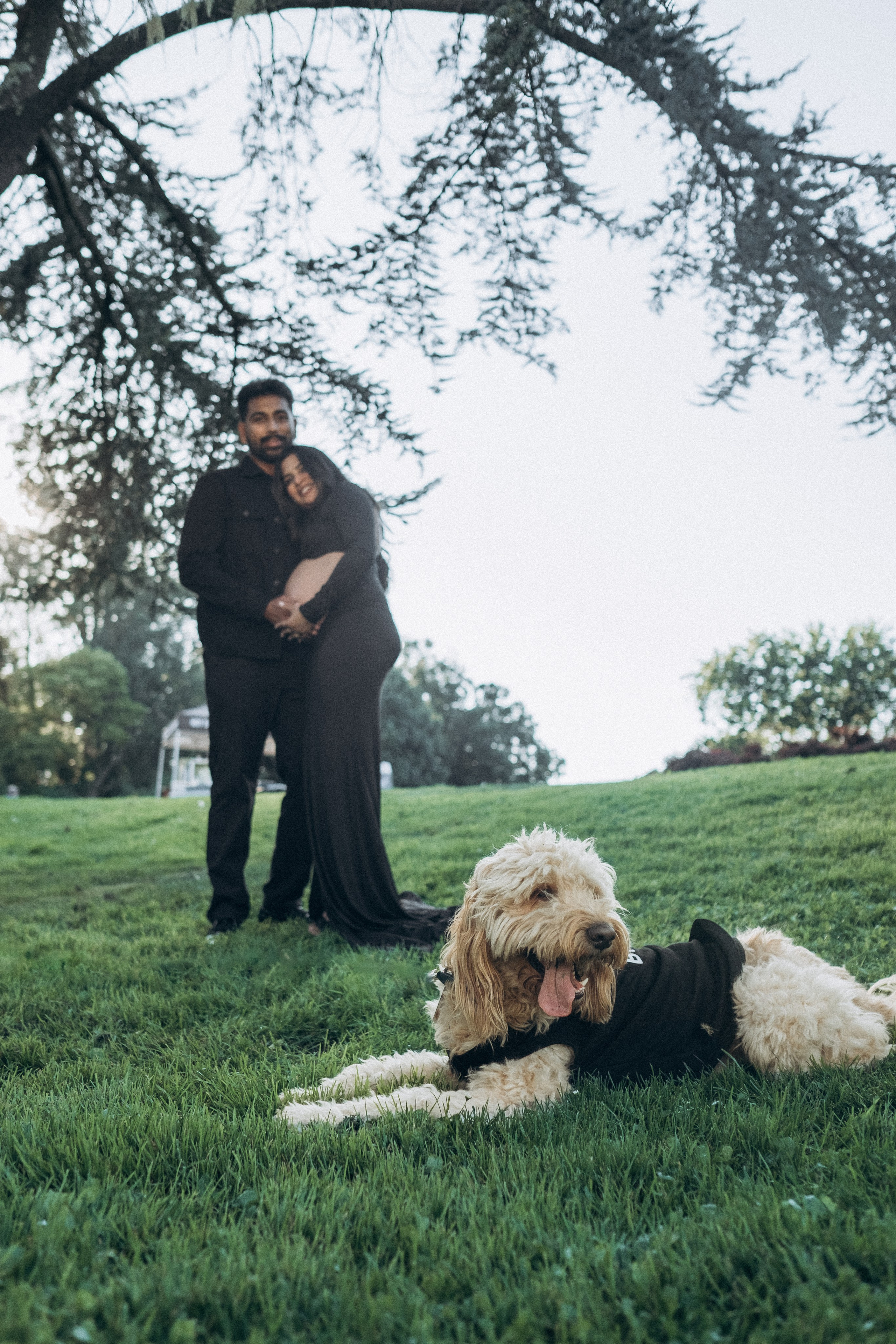 Maternity. Love story and family photographer in San Francisco Oksana Shvets