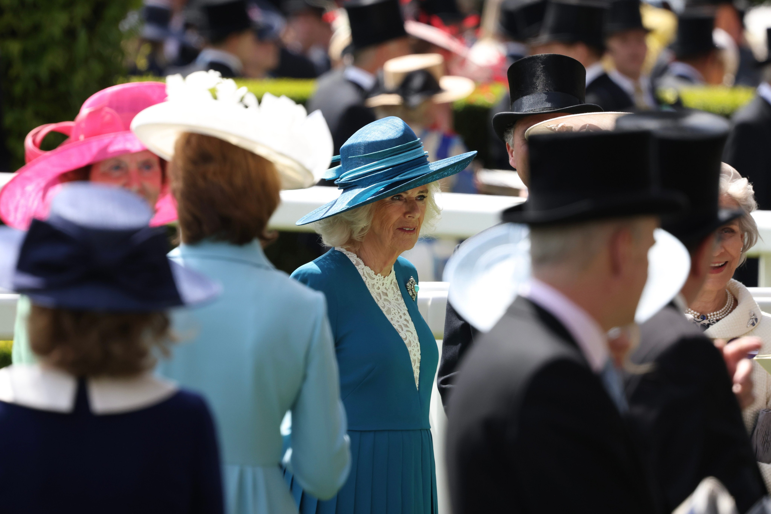 Ascot. BRUNGRAF MEDIA