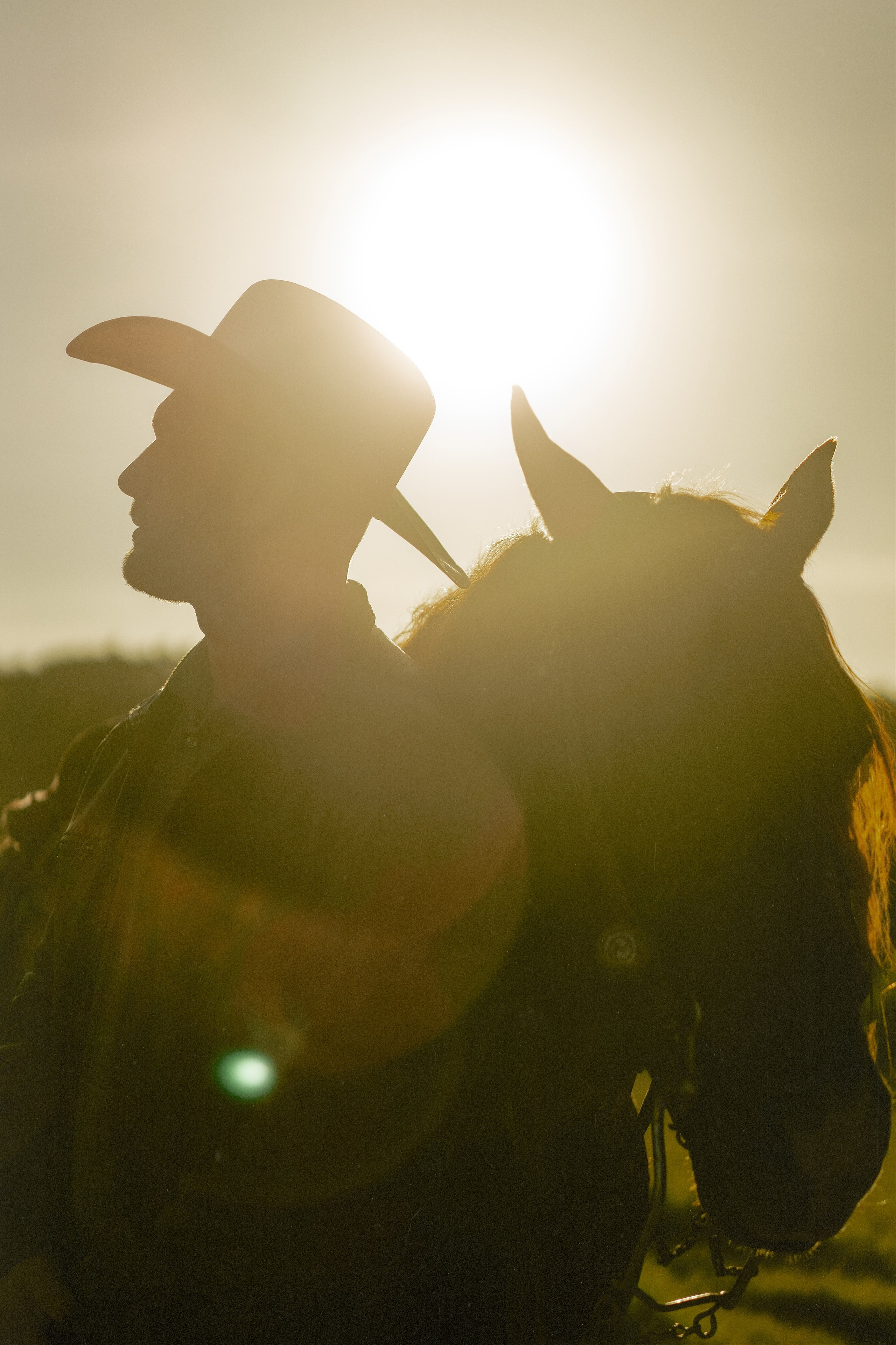 Engagement with Horses, Napa, Northern California. Wedding Photography & Videography Team in California, Los Angeles, San Francisco, San Diego and Travel