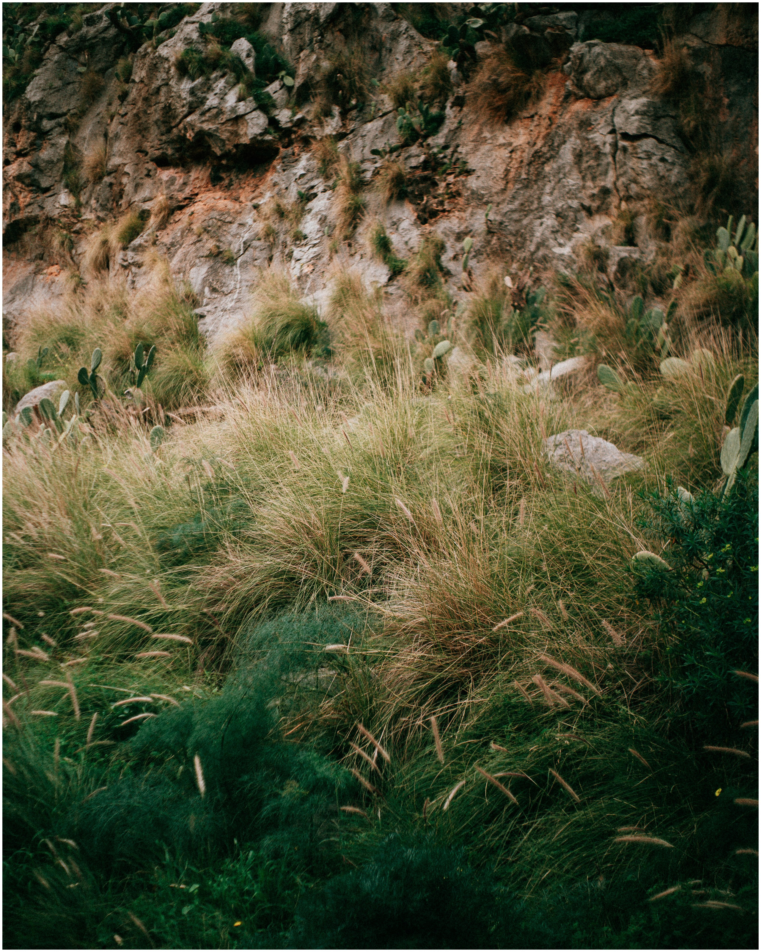 PALERMO. Photographer Inna Mendelson