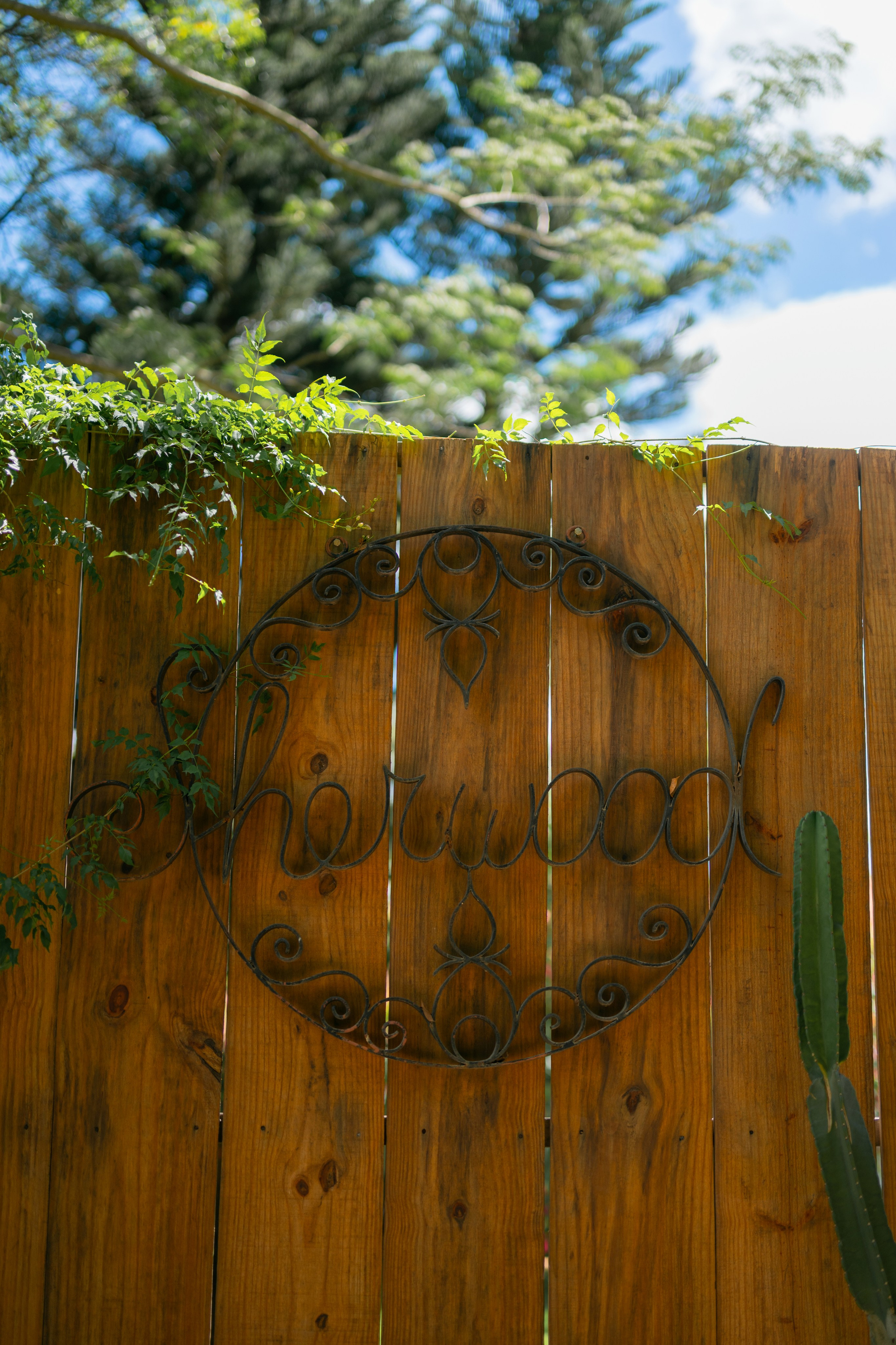 Bia e Gabriel.Pós-wedding.Sherwood. Fotógrafo de Casamento, grávida, Retrato, Corporativo