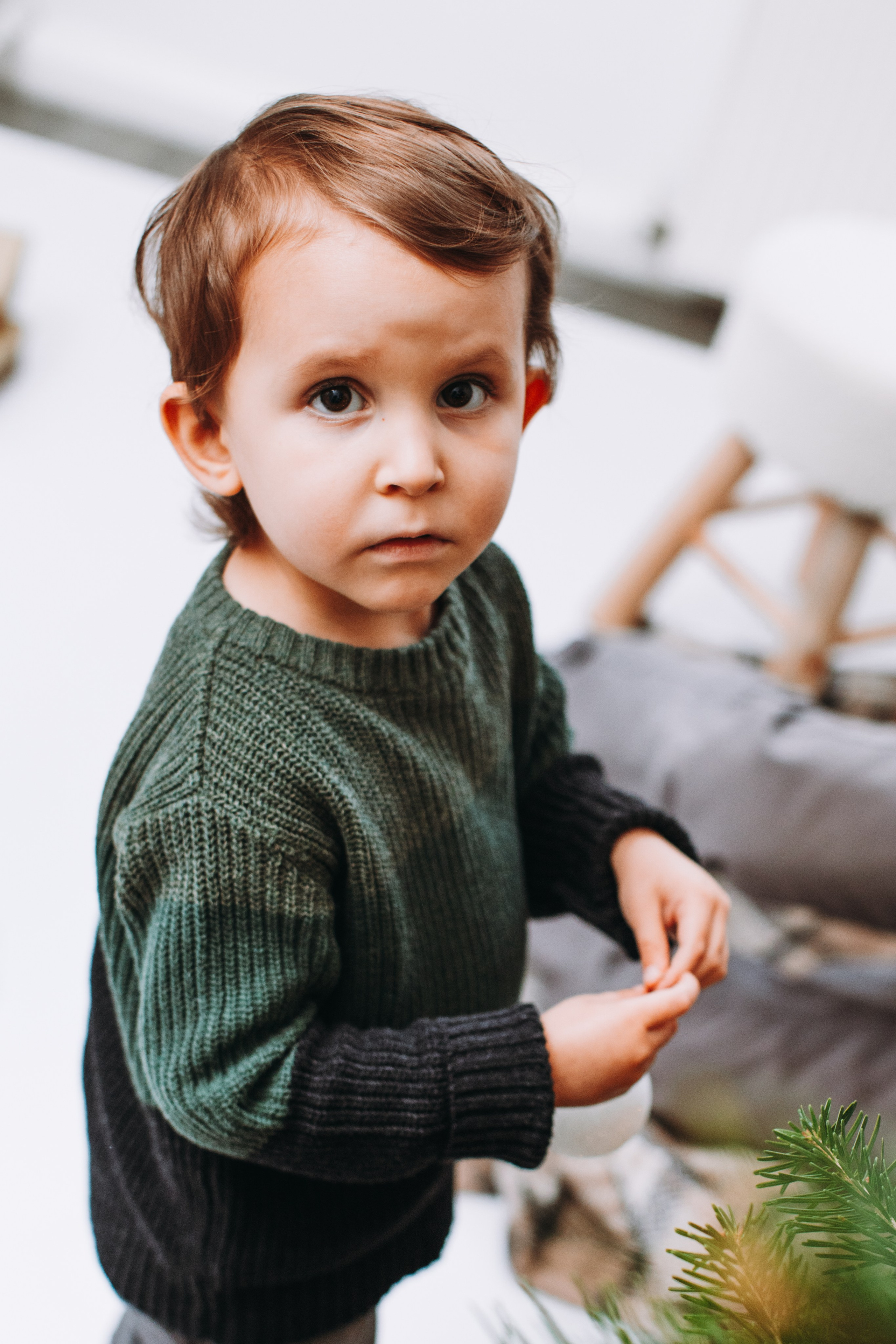 Weihnachtsshooting. Dienstleistungen