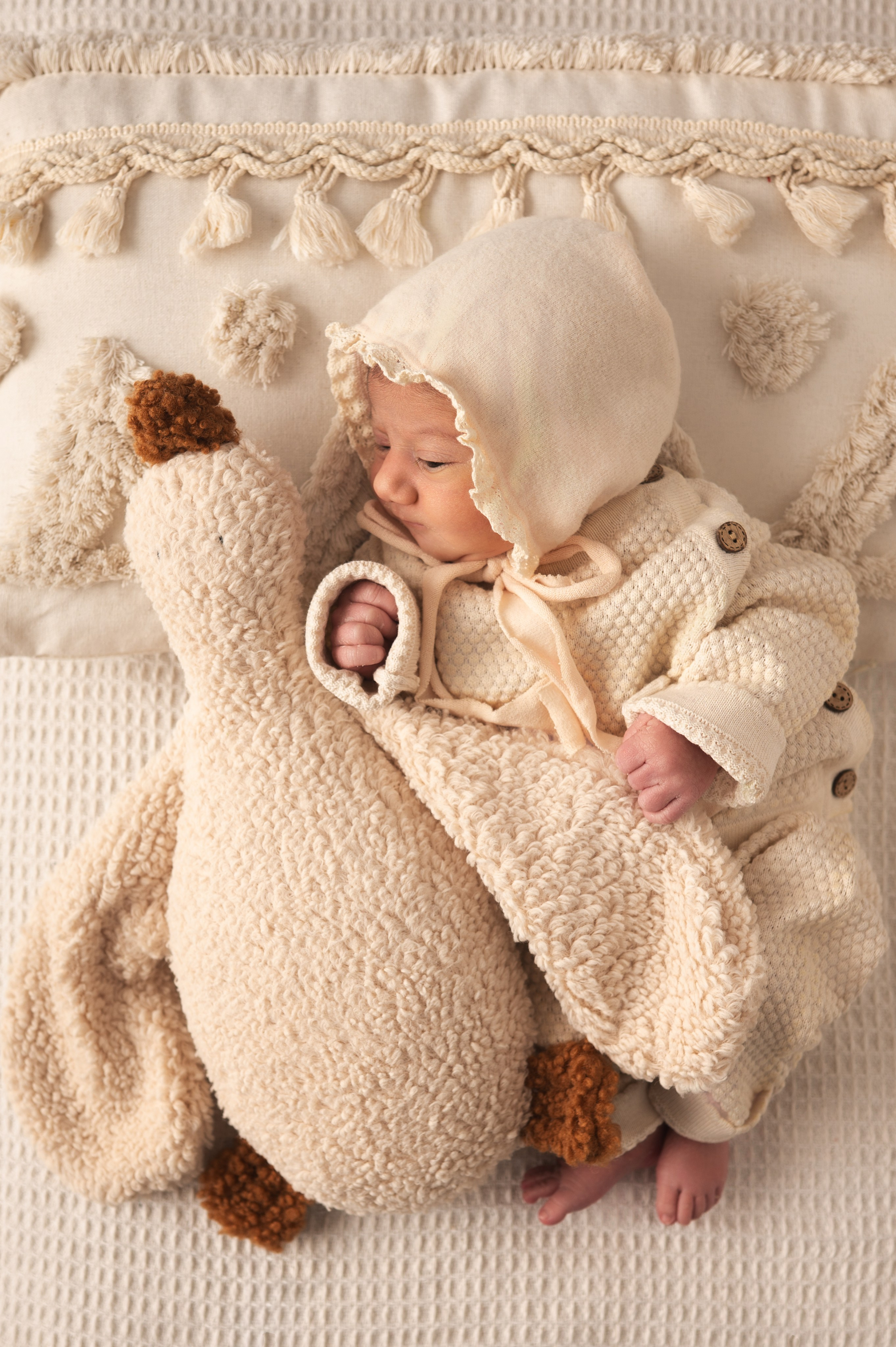 Dječiji i porodični fotograf Crna Gora — Elena Bjelobrković Photography