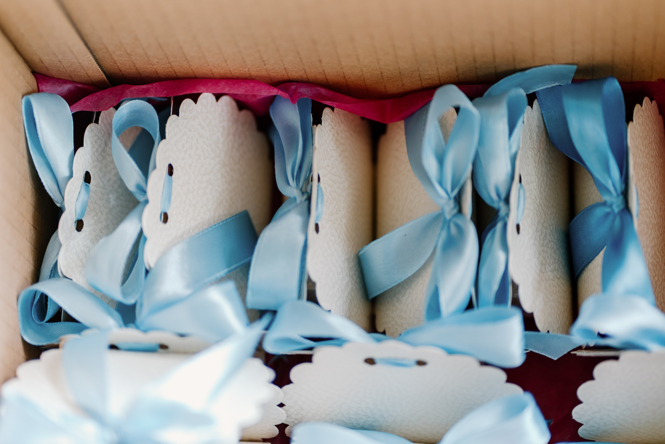 Baby Tudor. Gabrielacojocariu.com