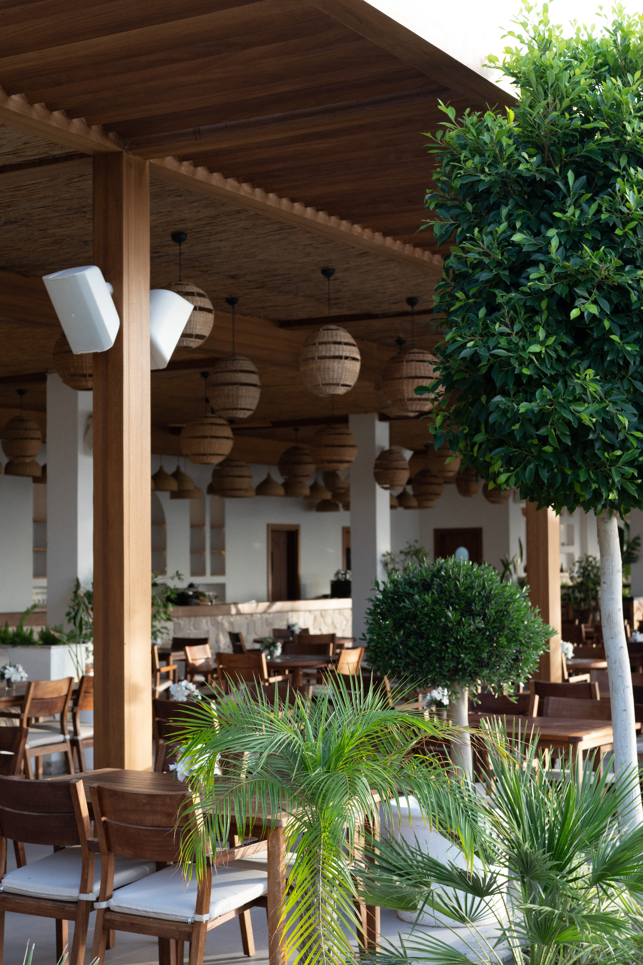 Mirada Exlusive. Professional photographer and videographer specializing in filming hot