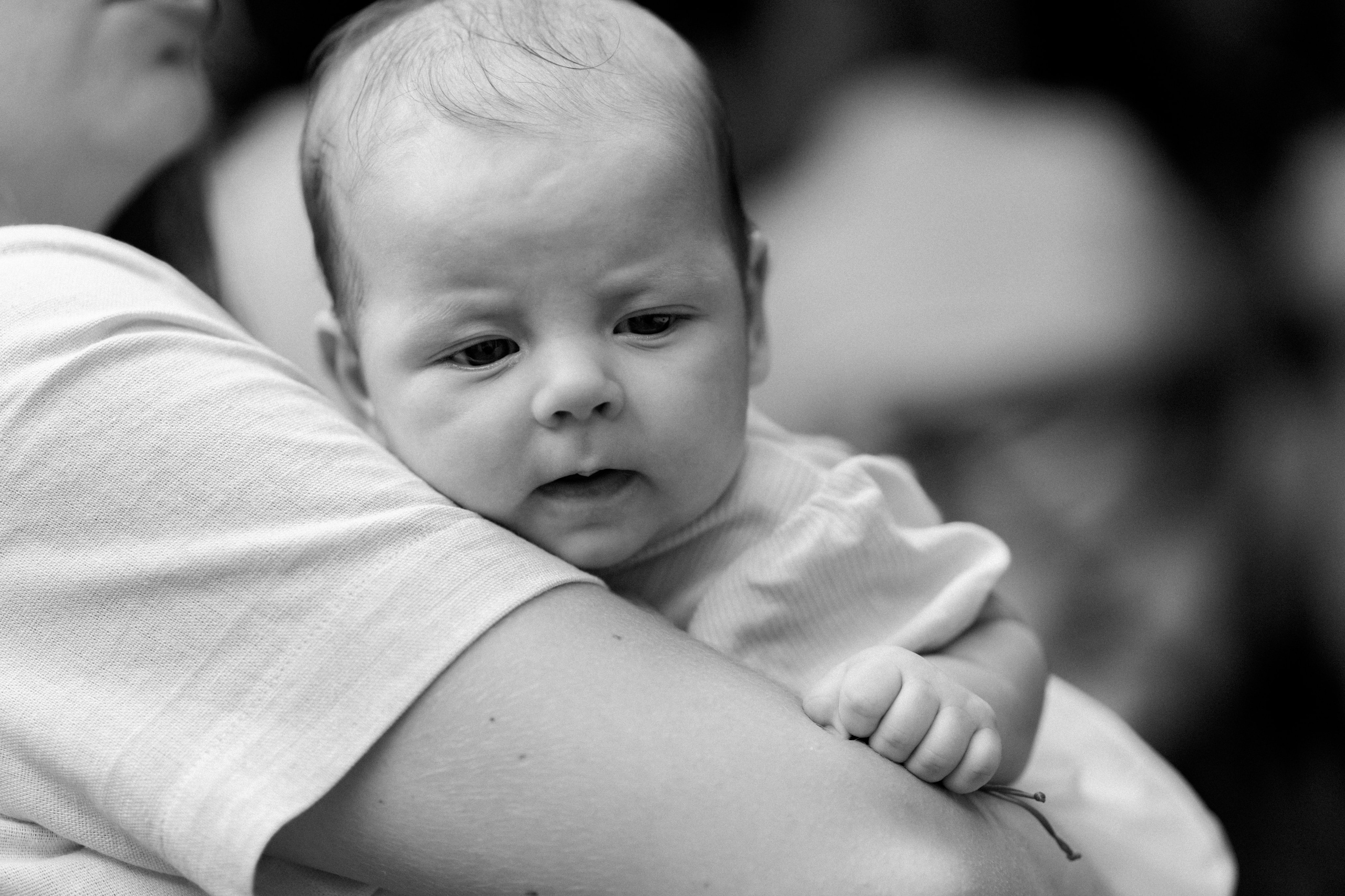 Baby Iris. Gabrielacojocariu.com